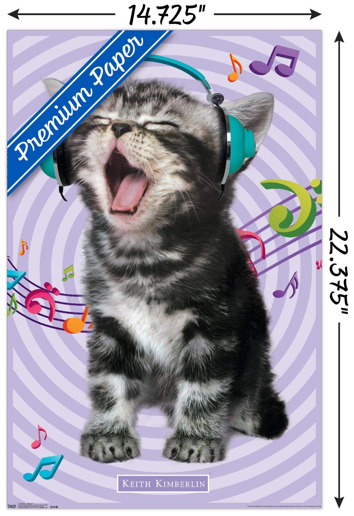 Trends International Keith Kimberlin - Kitten - Singing Wall Poster, 14.725'' X 22.375'', Premium Unframed Version