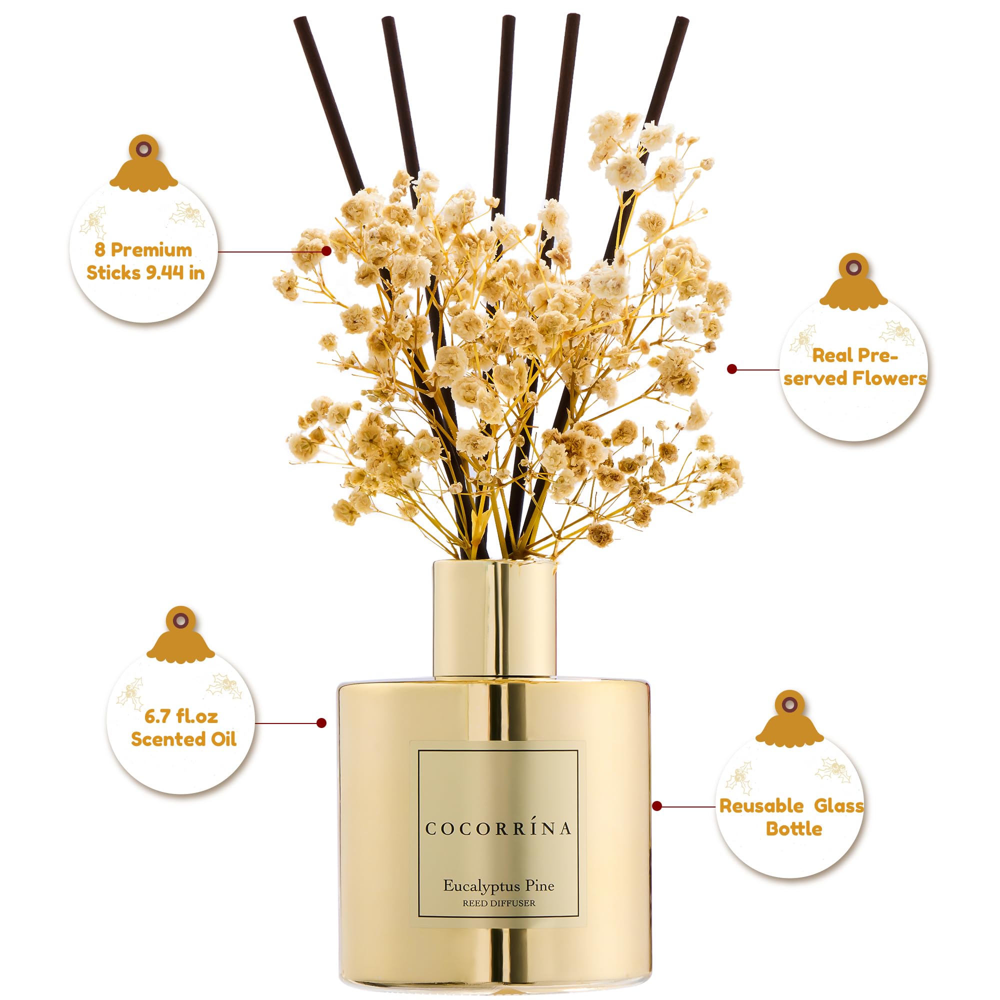 COCORR  NA Reed Diffuser - Eucalyptus Pine Diffuser with 8 Sticks Home Fragrance Christmas Reed Diffuser for Bathroom Shelf Deco