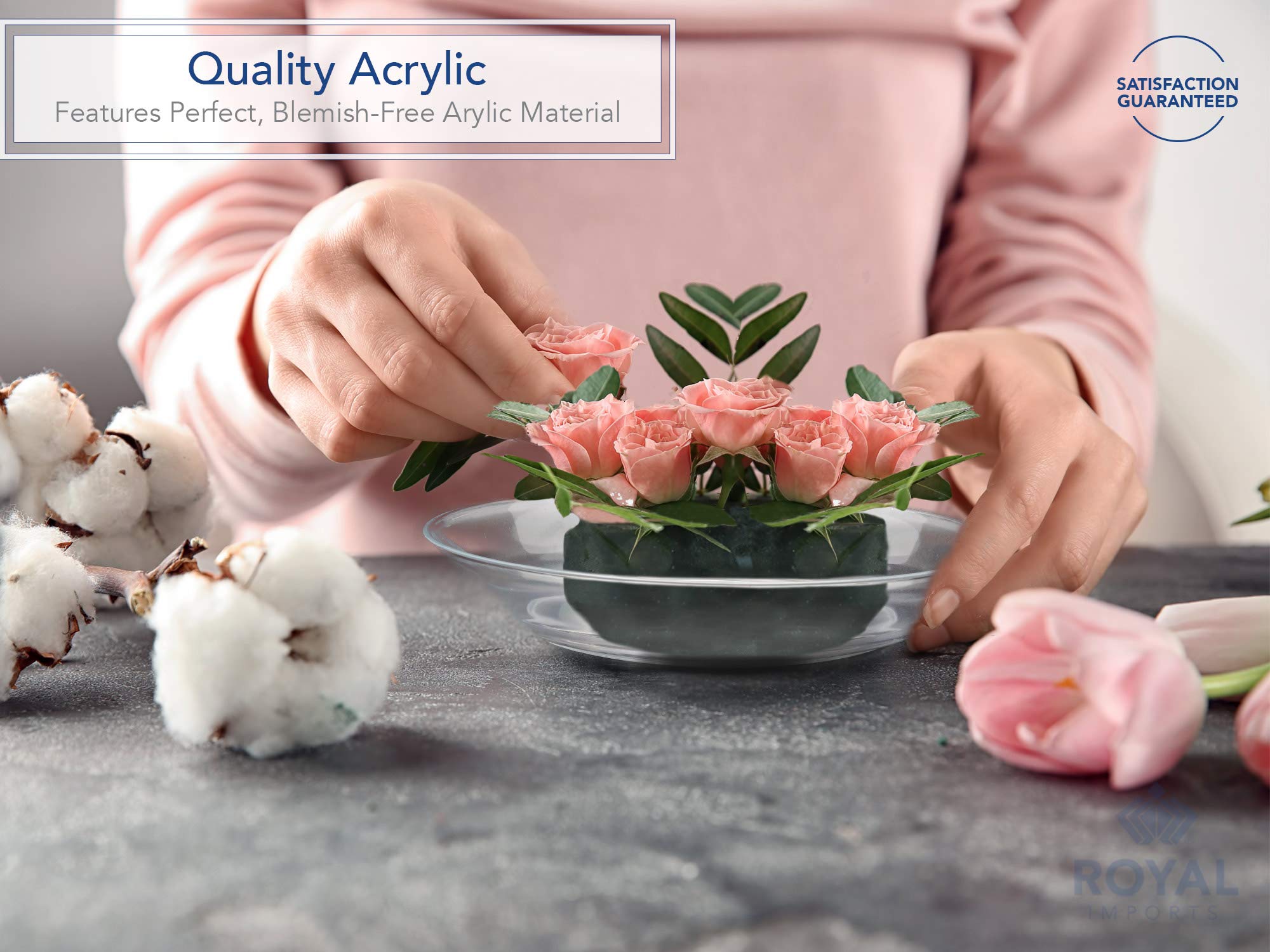 Royal Imports 10'' Clear Plastic Saucer Plant Drip Tray  Deep Pie Plate  Floral Flower Dish  Wedding  Party  Home and Holiday Decor  6 Pack