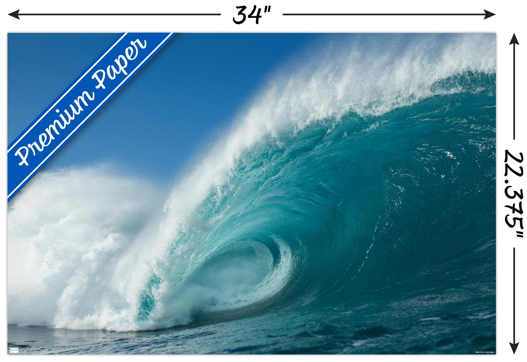 Trends International Surfing - Rolling Wave Wall Poster, 22.375'' X 34'', Premium Unframed Version