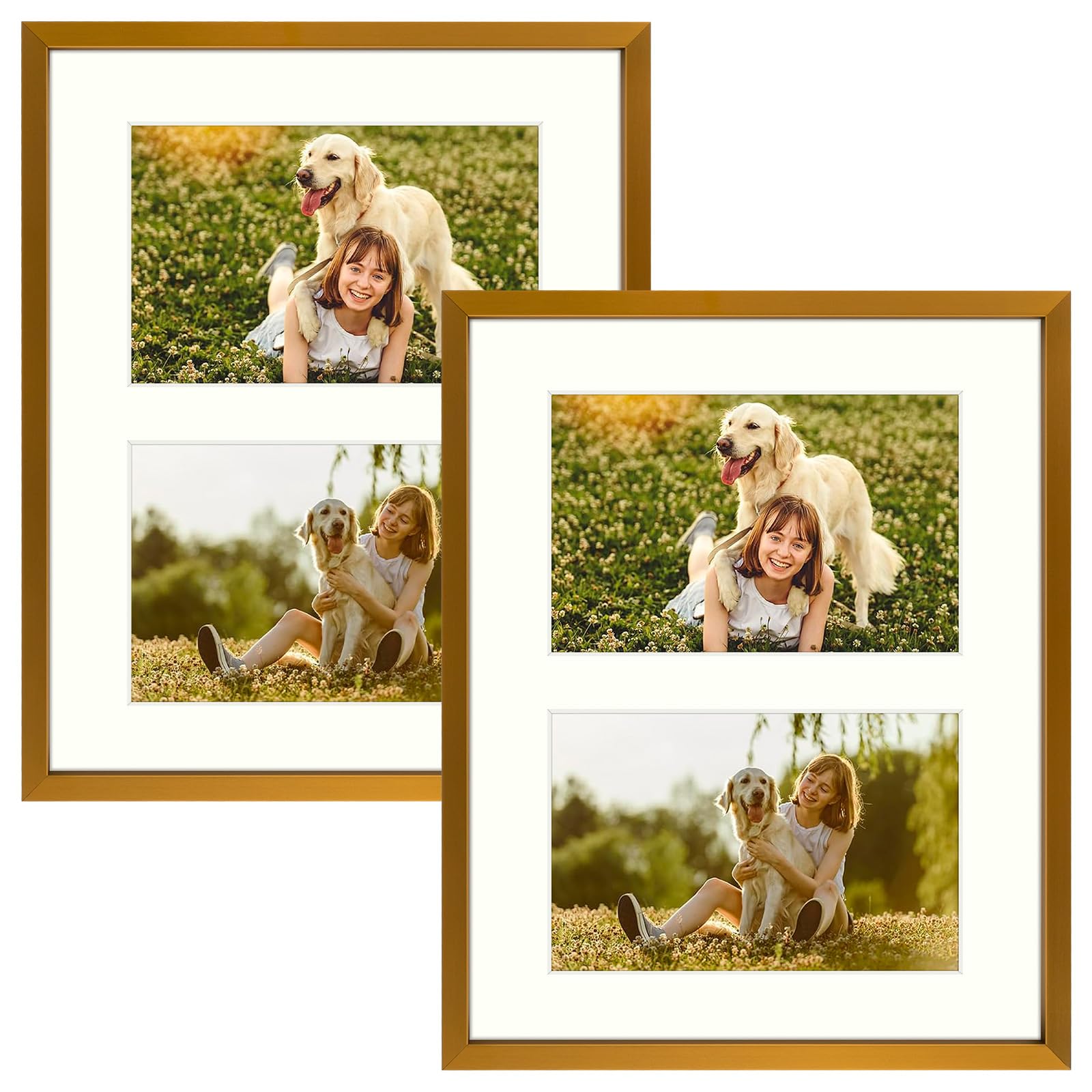 Golden State Art, 2-4x6 Collage Aluminum Picture Frame, Display Two 4x6 Photos with Mat or One 8x10 Without Mat, Tempered Glass,
