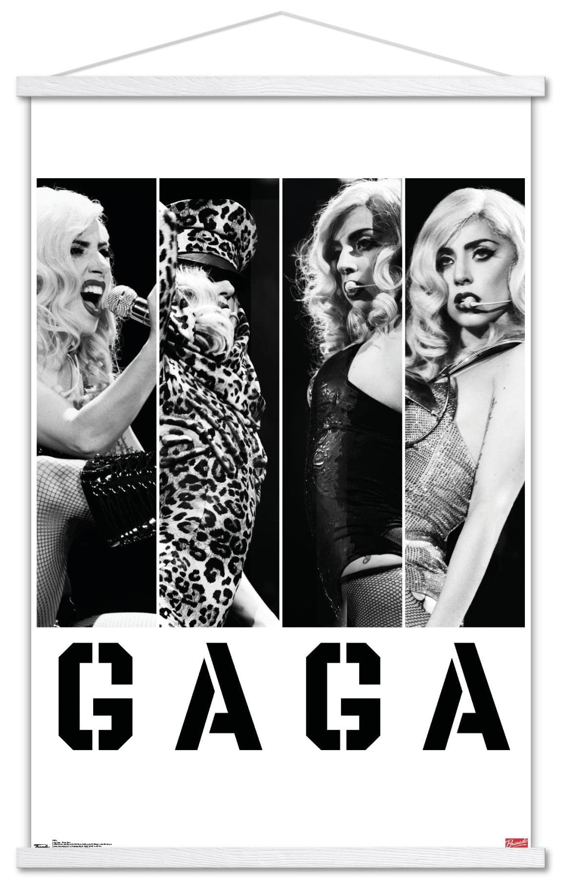 Trends International Lady Gaga - Photo Bars Wall Poster, 22.375'' X 34'', Premium Print And White Hanger Bundle