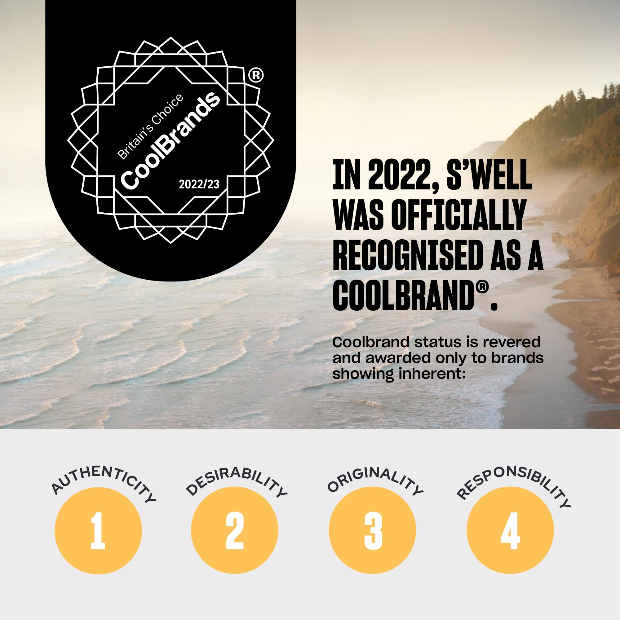 S'Well Water Handle-Grey-Fits 9Oz, 17Oz, And 25Oz Bottles Comfortable Way To Carry Go-Innovative Design And A Flexible Grip