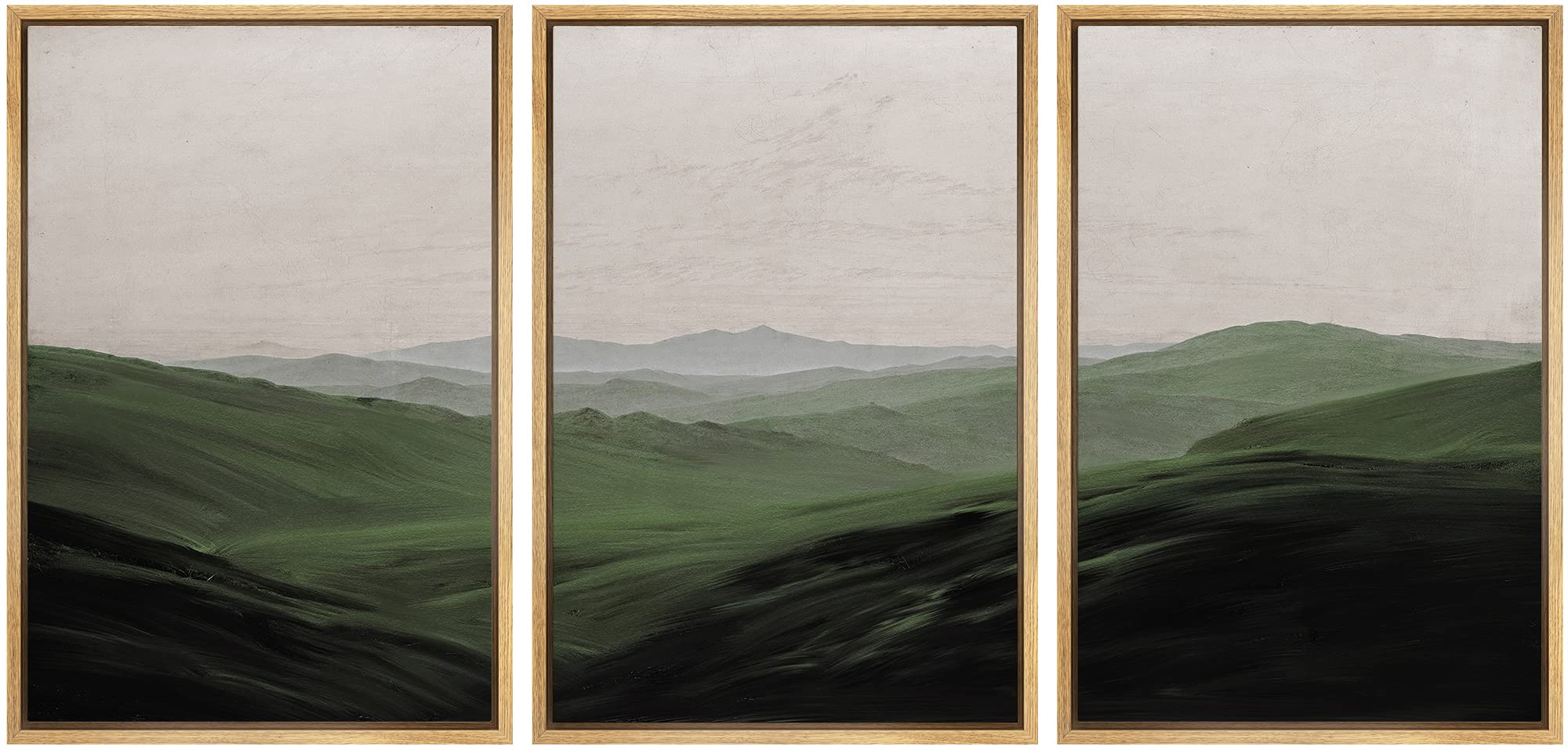 Signwin 3 Piece Framed Canvas Wall Art Flower Canvas Prints Home Artwork Decoration For Living Room,Bedroom - 16''X24''X3 Panels