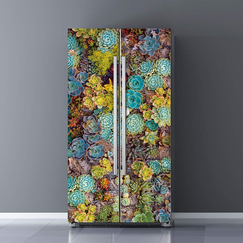 Nature Art Self Stick Vinyl Door Mural Sticker, Peel And Stick Removable Refrigerator Wrap Decal, Succulent Plant, 32.3X78.7, 2