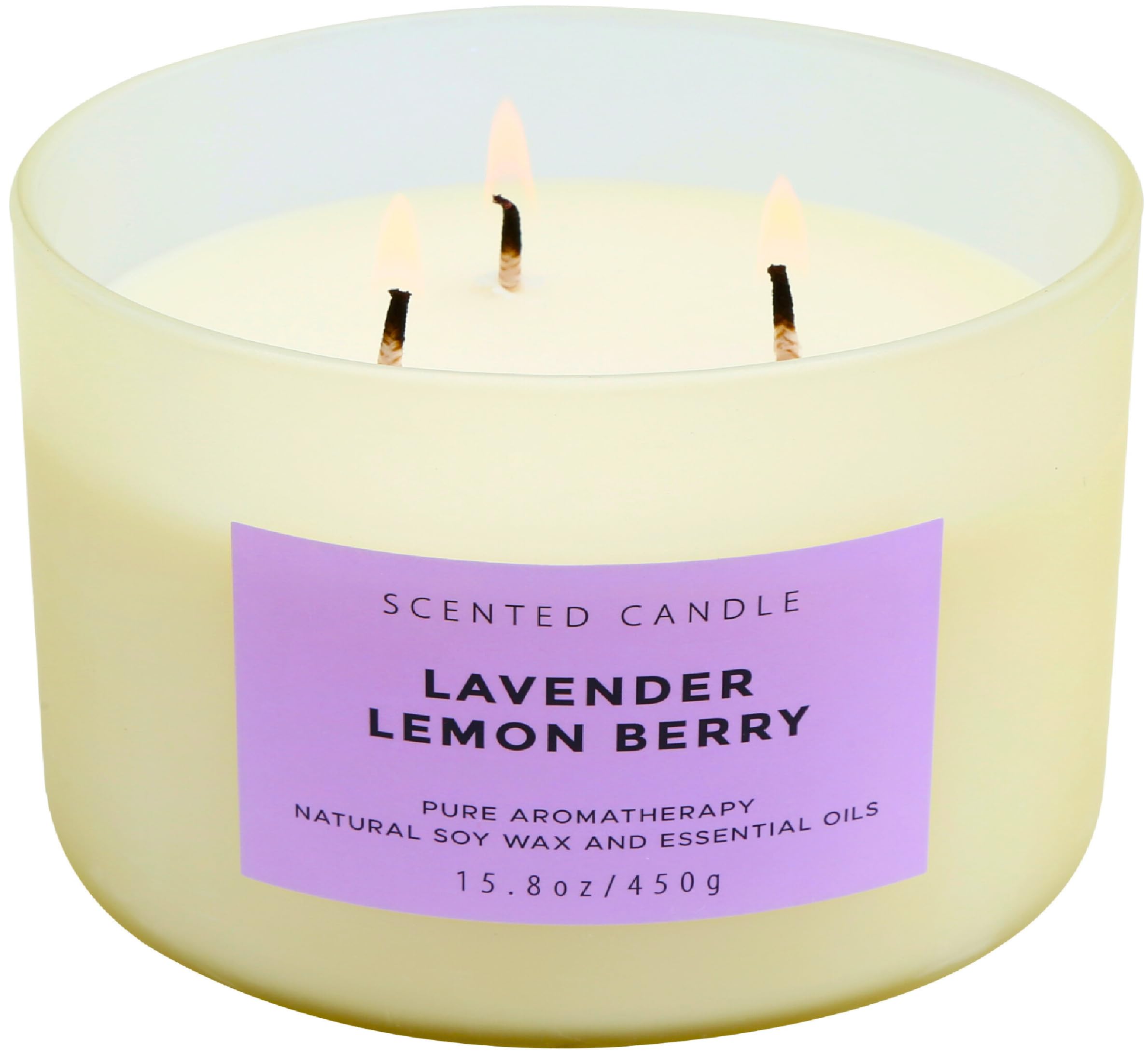 Large Aromatherapy Lemon Lavender 3 Wick Candle  Highly Scented Purple Jar Candles  Relaxing Lavender Candles for Home 15.8 oz