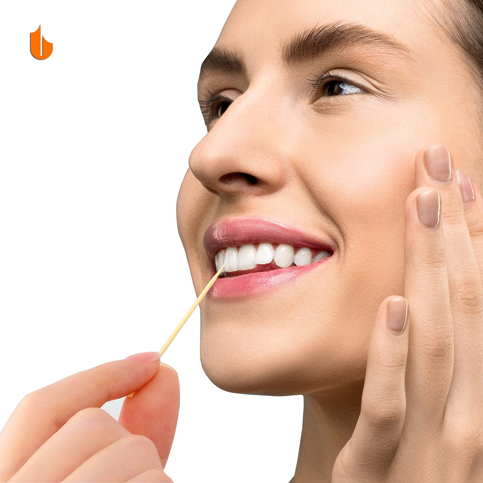 Urbanstrive Sturdy Safe Toothpick Holder With 800 Natural Wood Toothpicks For Teeth Cleaning, Unique Home Design Decoration, 2 P