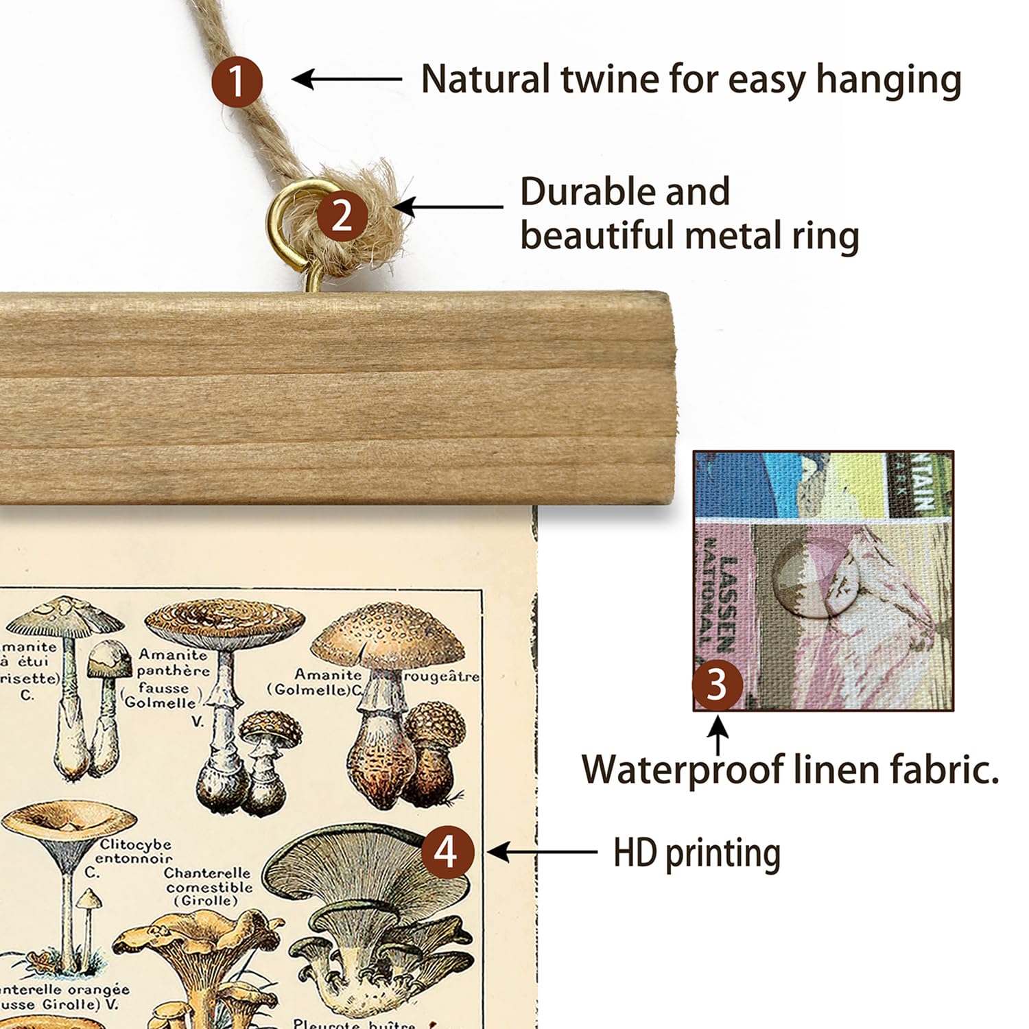 Xiaoaika Vintage Mushroom Poster With Wooden Frame - Classic Botanical Print With Variety Of Fungi Species - Retro Style Wall Ar