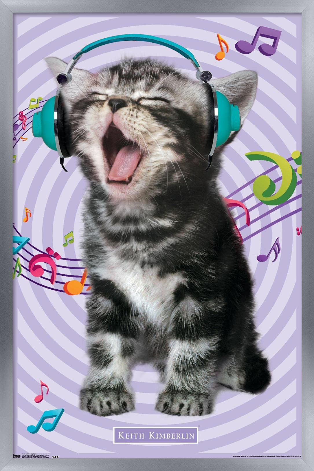 Trends International Keith Kimberlin - Kitten - Singing Wall Poster, 14.725'' X 22.375'', Silver Framed Version