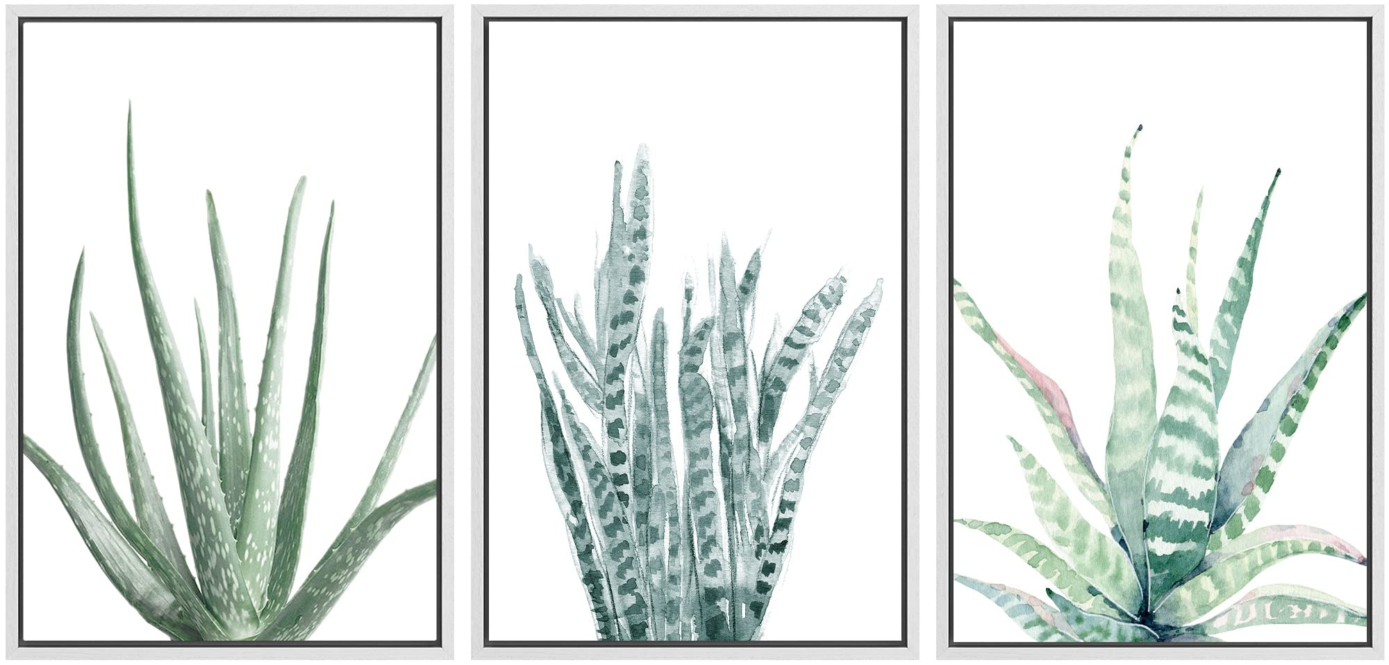 Signwin Framed Canvas Print Wall Art Set Pastel Watercolor Desert Snake Plant Nature Floral Illustrations Modern Art Decorative