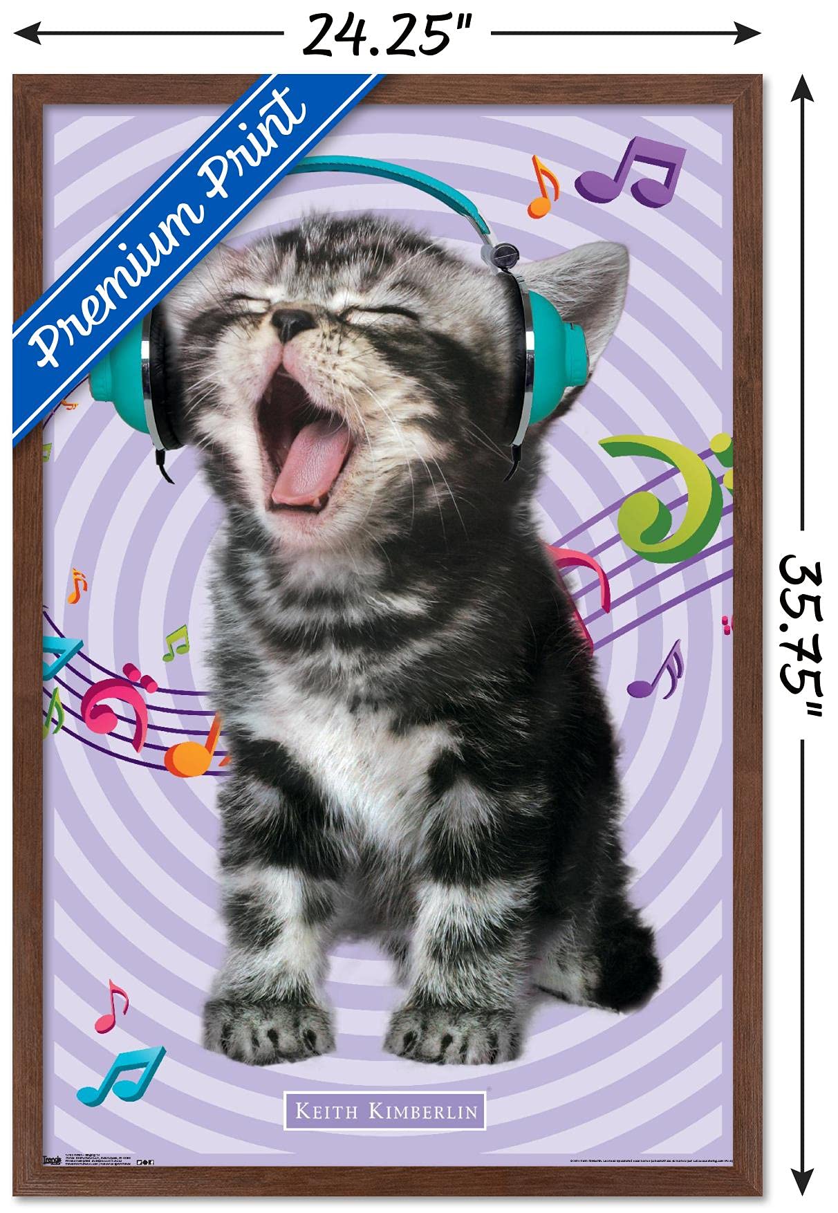 Trends International Keith Kimberlin - Kitten - Singing Wall Poster, 22.375'' X 34'', Mahogany Framed Version
