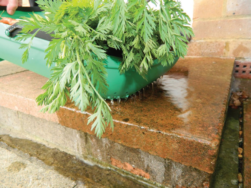 Tierra Garden Gp184 Colander Trug