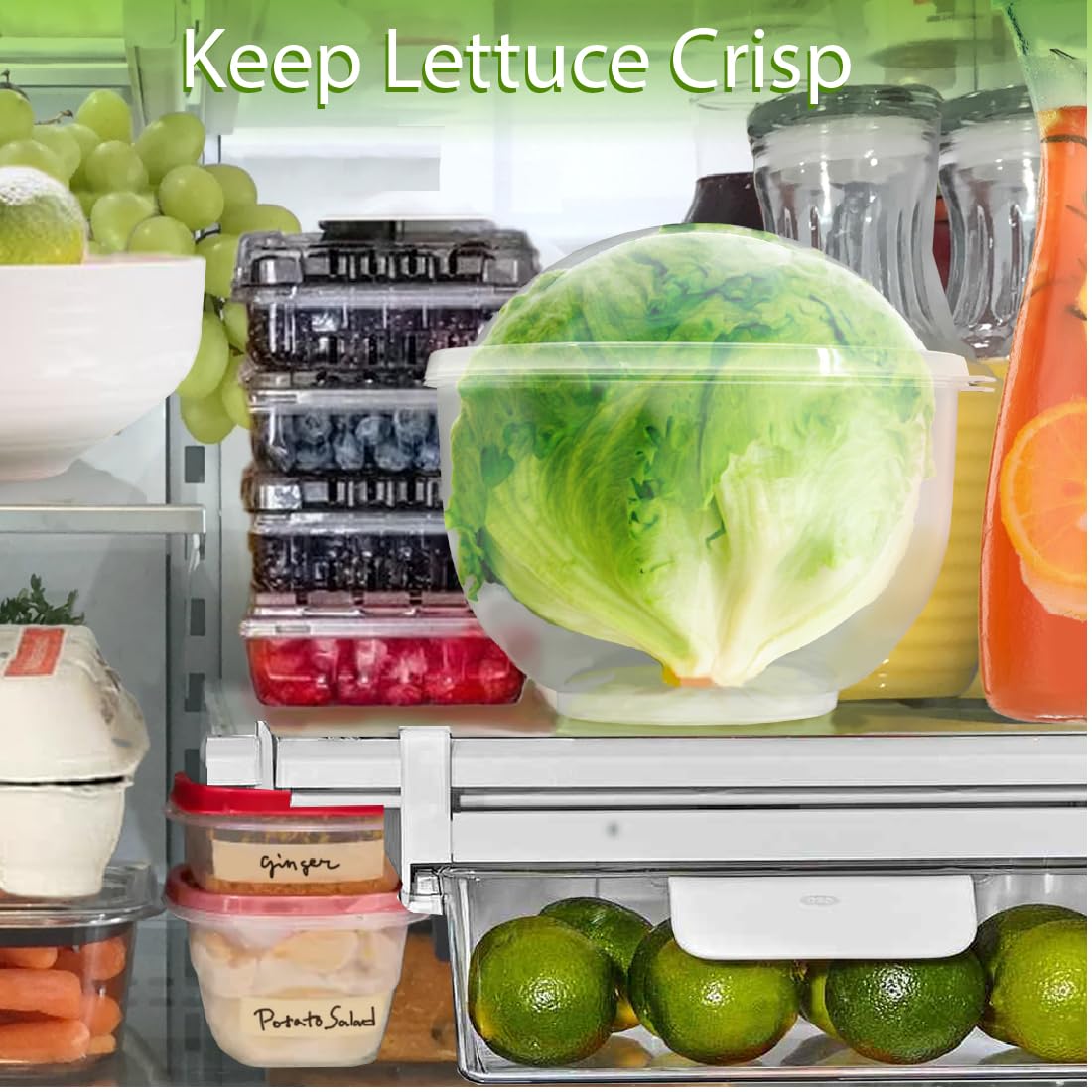 Trenton Gifts Lettuce And Vegatable Storage Keeper | 7'' X 8''