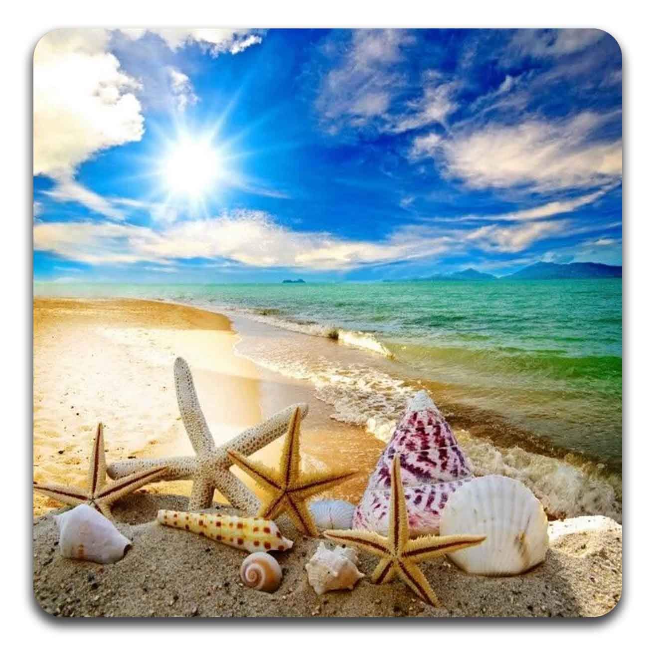 Beach Shells Square Coaster Set - Made Of Recycled Rubber - Set Of 4