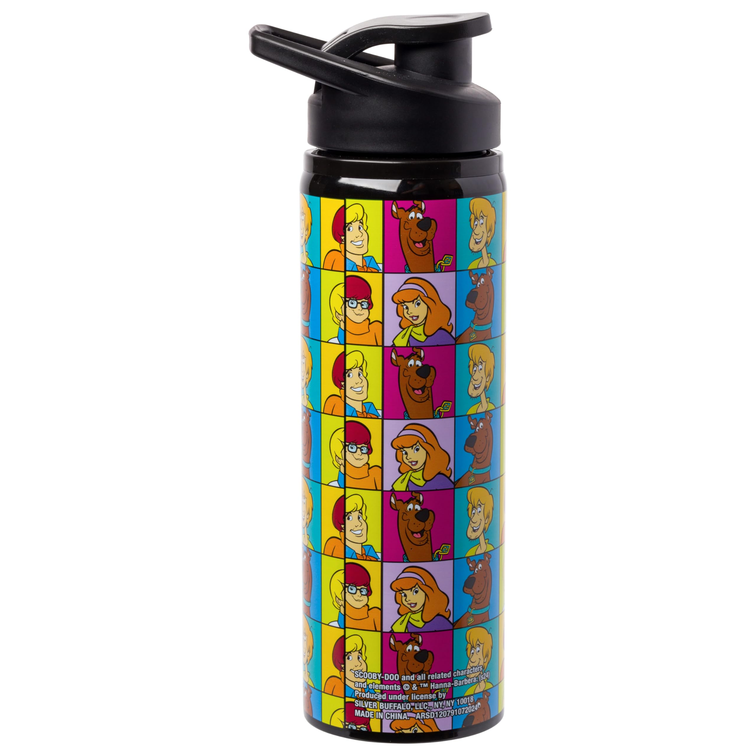 Silver Buffalo ScoobyDoo Meddling Crew, Stainless Steel Water Bottle, 25oz