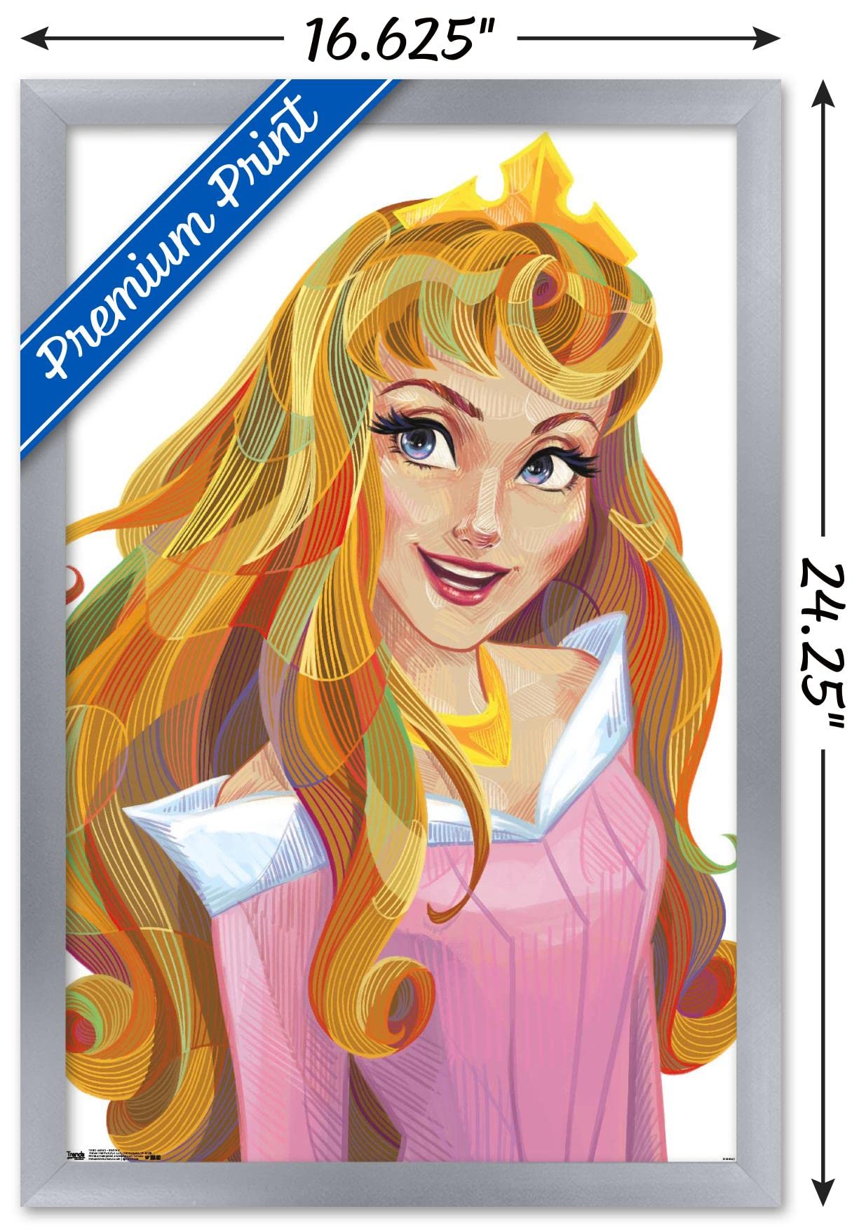 Trends International Disney Sleeping Beauty - Aurora - Stylized Wall Poster, 14.725'' X 22.375'', Silver Framed Version