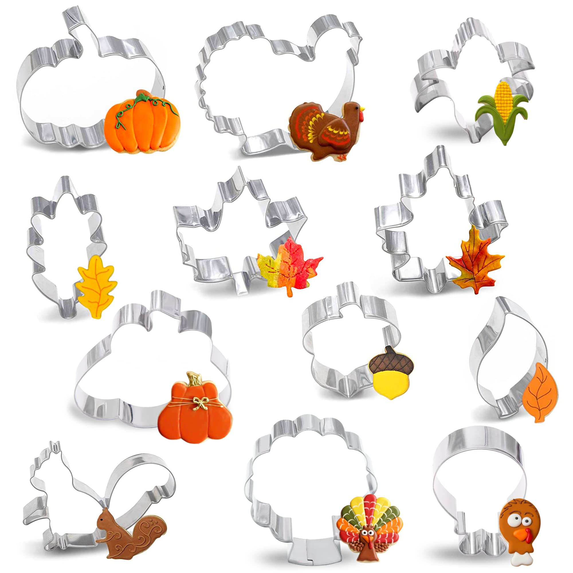 12Pcs Large Fall Thanksgiving Cookie Cutter Set - Turkey,Pumpkin,Maple/Oak/Teardrop Leaf,Squirrel, Acorn,Corn,And Turkey Leg