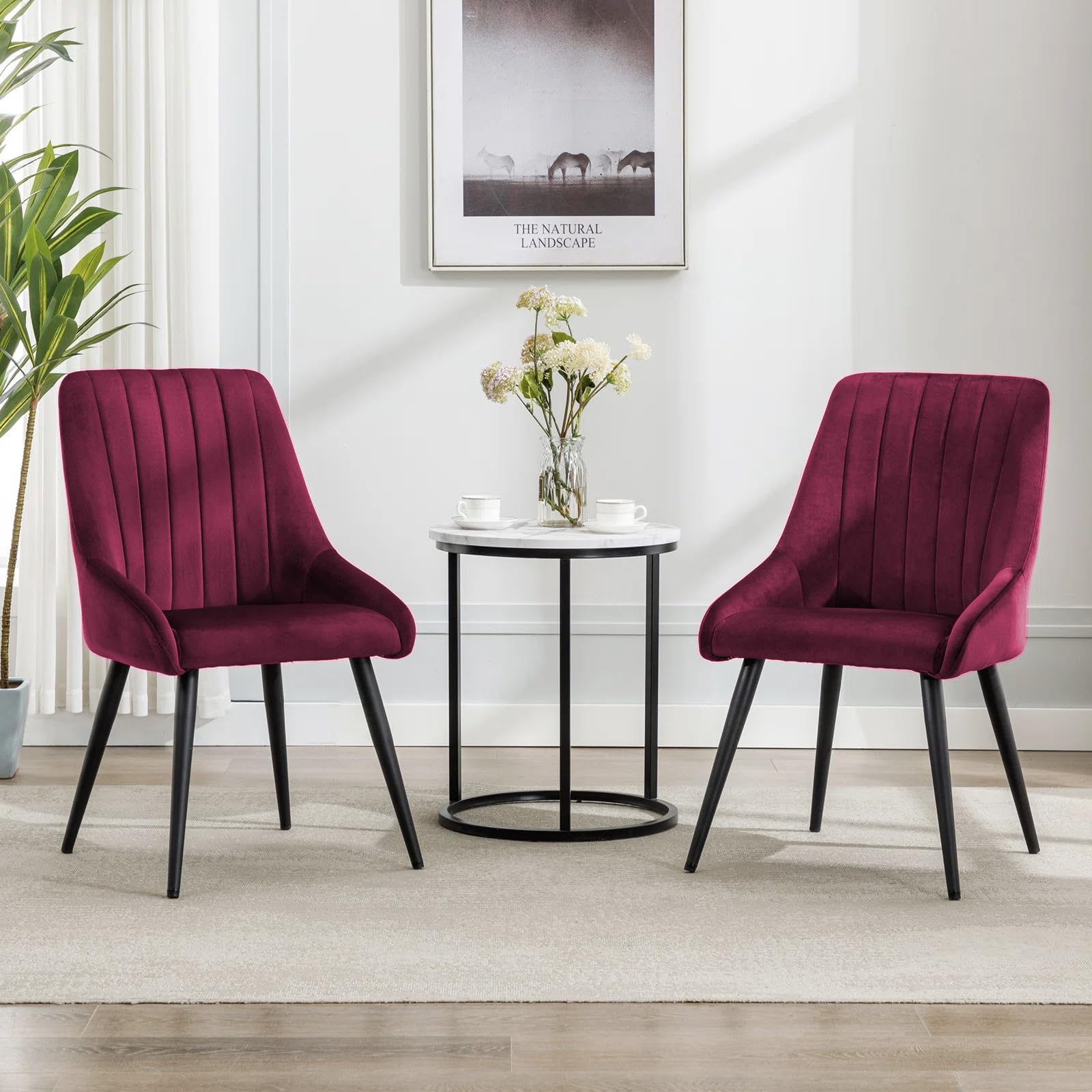 Finch Fox Morris Velvet Dining Chair For Living Room, Bedroom, Home Office With Black Metal Legs In Dark Pink Color (Set Of 2)