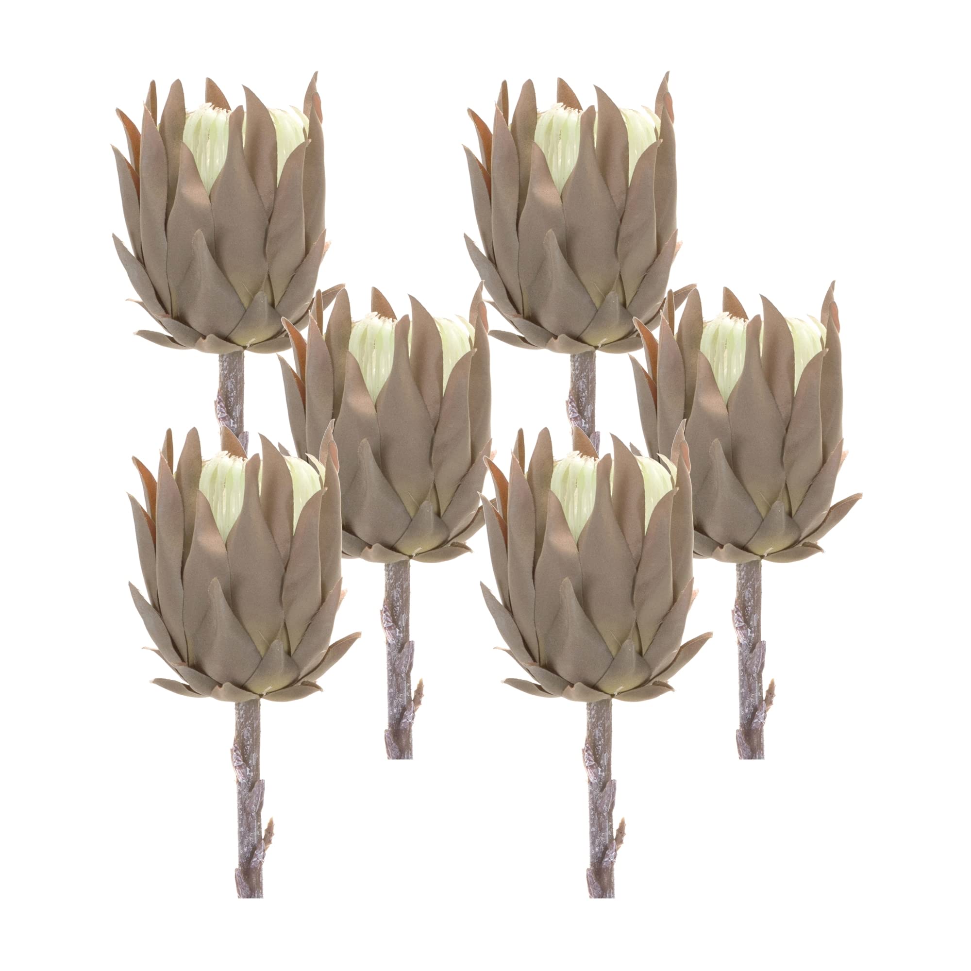 Melrose Indoor Modern Home/Office Decorative Protea Stem (Set of 6) 20 H Plastic