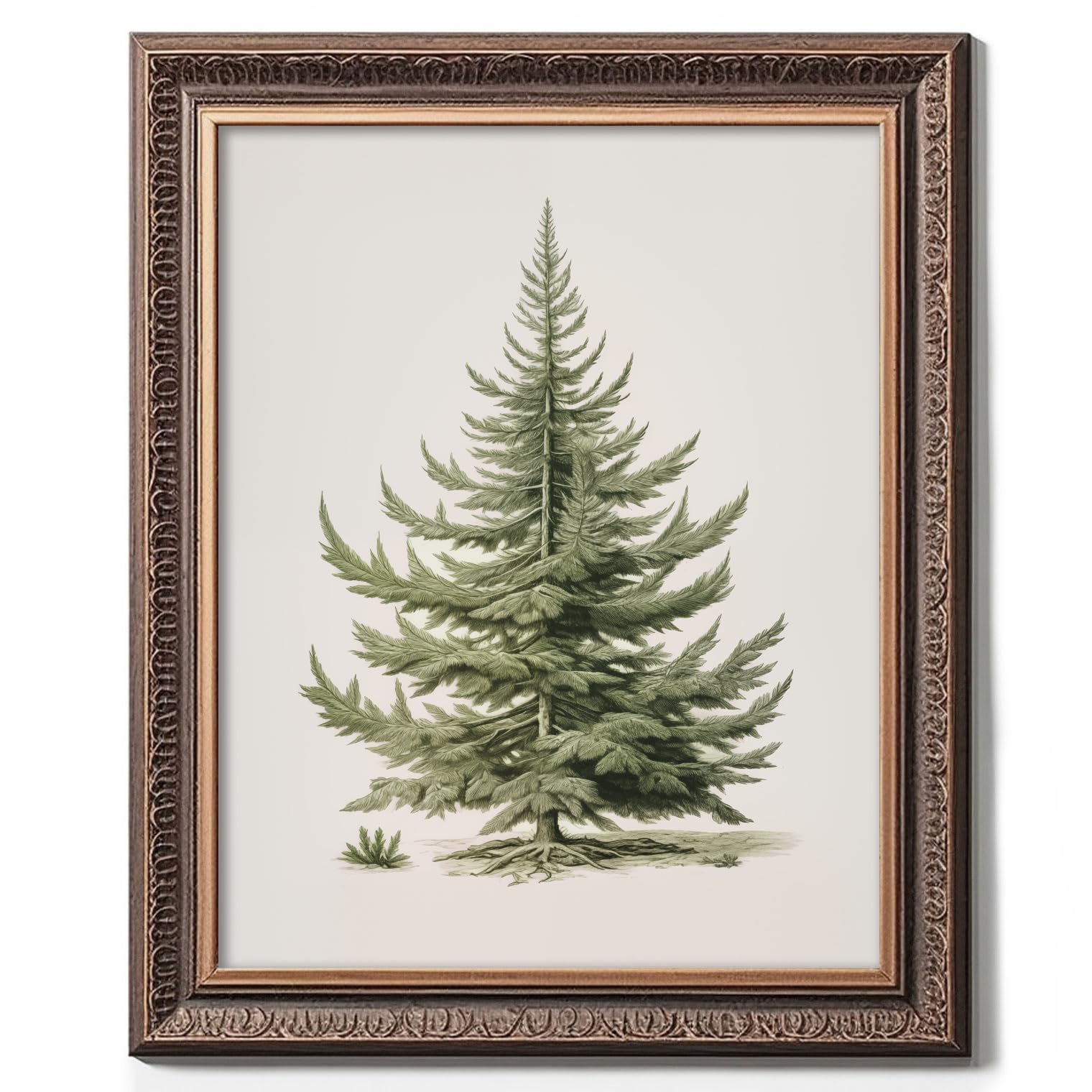 Christmas Tree Art Print, Vintage Fir Botanical Sketch, Christmas Tree Painting Print, Pine Tree Antique Print, Christmas Tree W