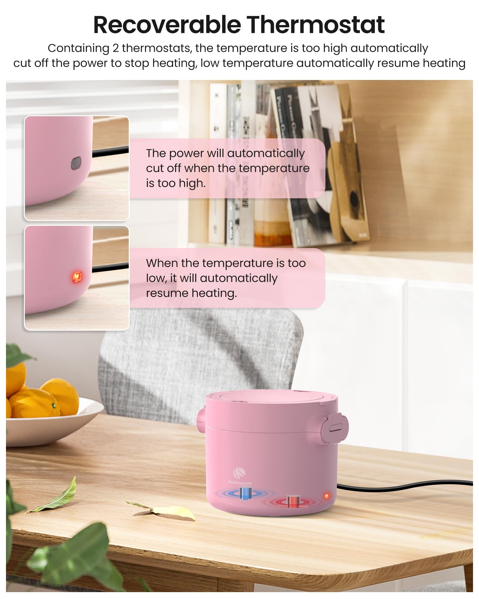 Portable Electric Lunch Box,Food Warmer Cooker,12/24/110V Heated Lunch Box for Car/Truck/Office- Ideal for Men & Women Gifts,100