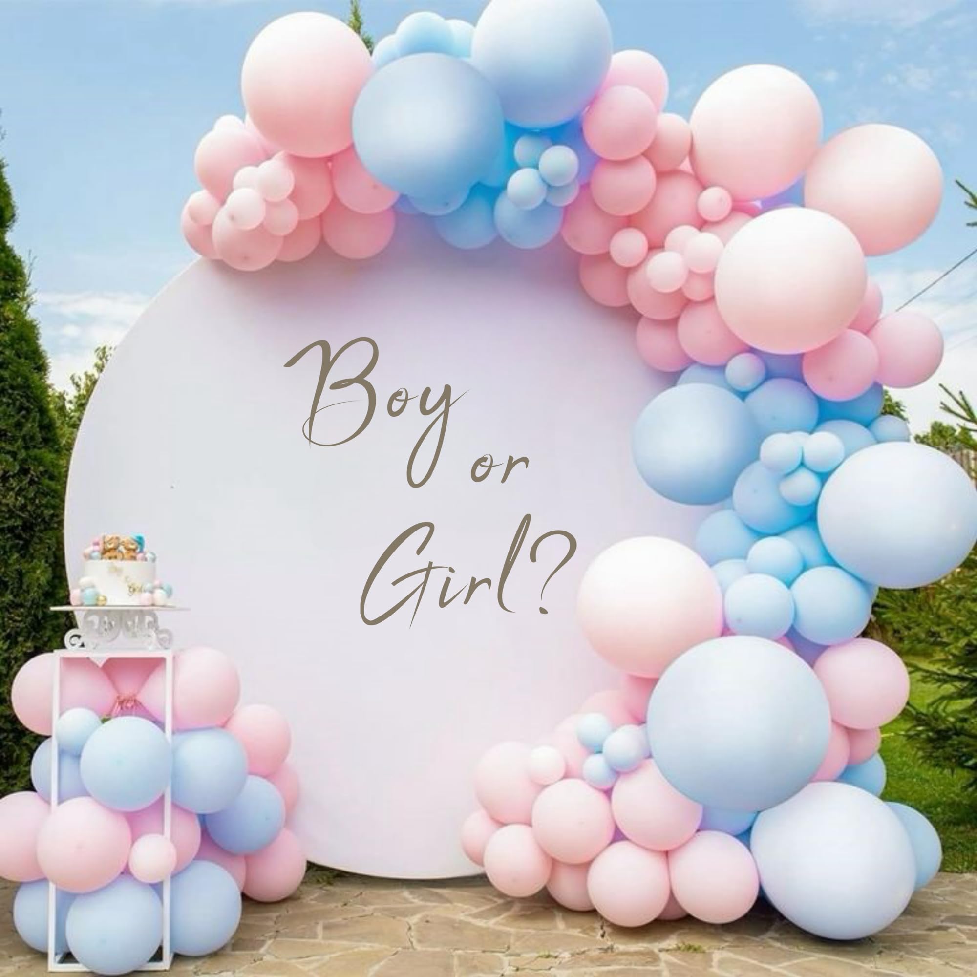 Cieqr Boy Or Girl Gender Reveal Sign Decal - Baby Shower Decorations, Baby Shower Party Decal Sign For Party, Balloon Arch, Back