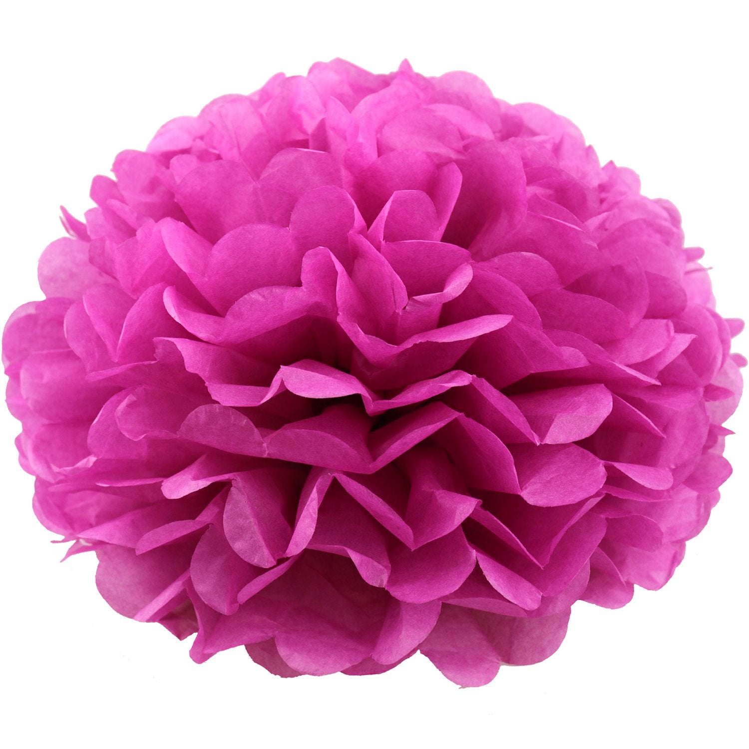 Lightingsky 10Pcs Diy Decorative Tissue Paper Pom-Poms Flowers Ball Perfect For Party Wedding Home Outdoor Decoration (6-Inch Di