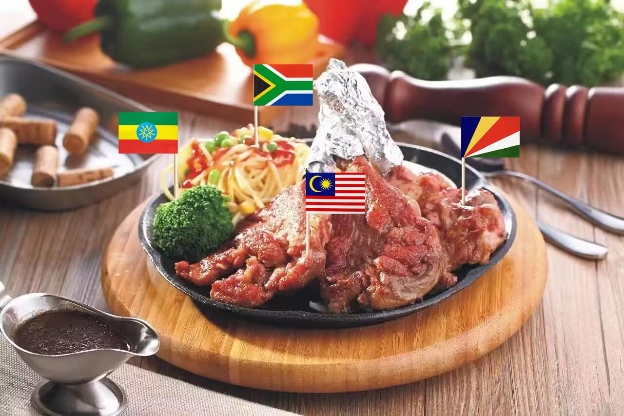 Stidsds Africa African 54 Countries Toothpick Flags Mini Small Country National Cupcake Toppers Stick Flag World International F