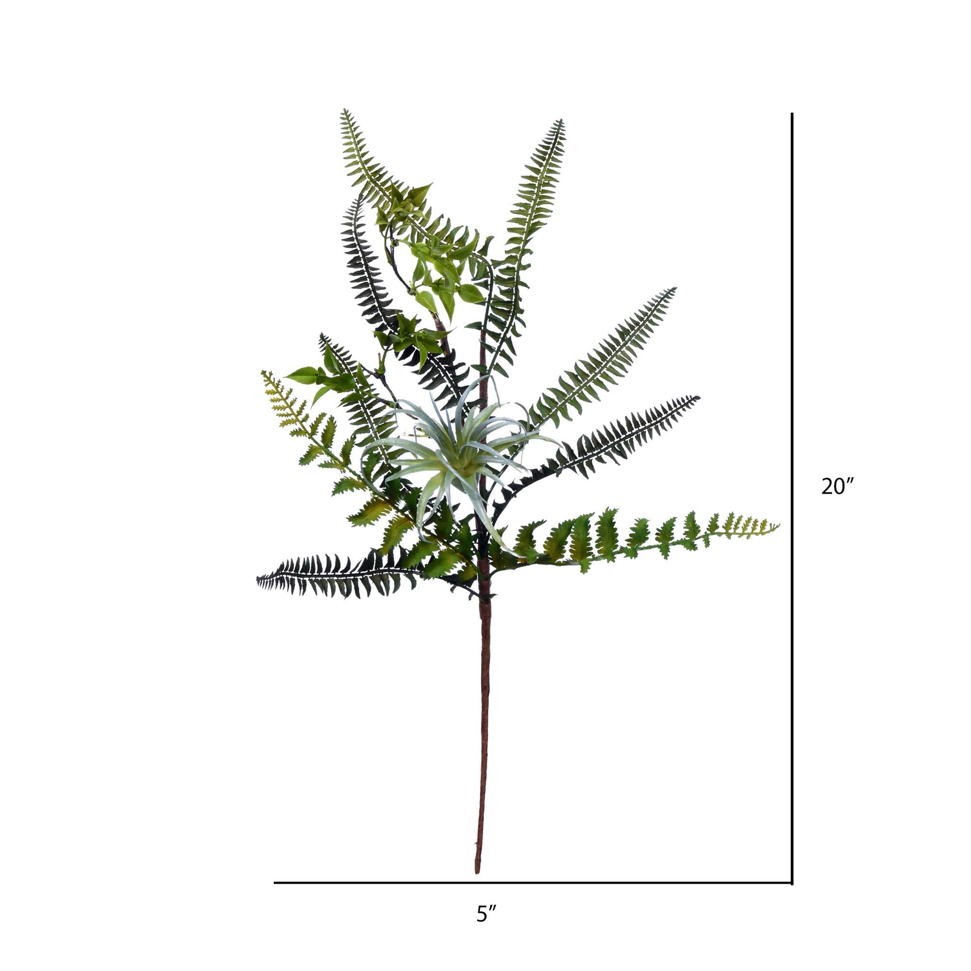 Vickerman 20'' Green Fern Pick Pk/2 - FT190220