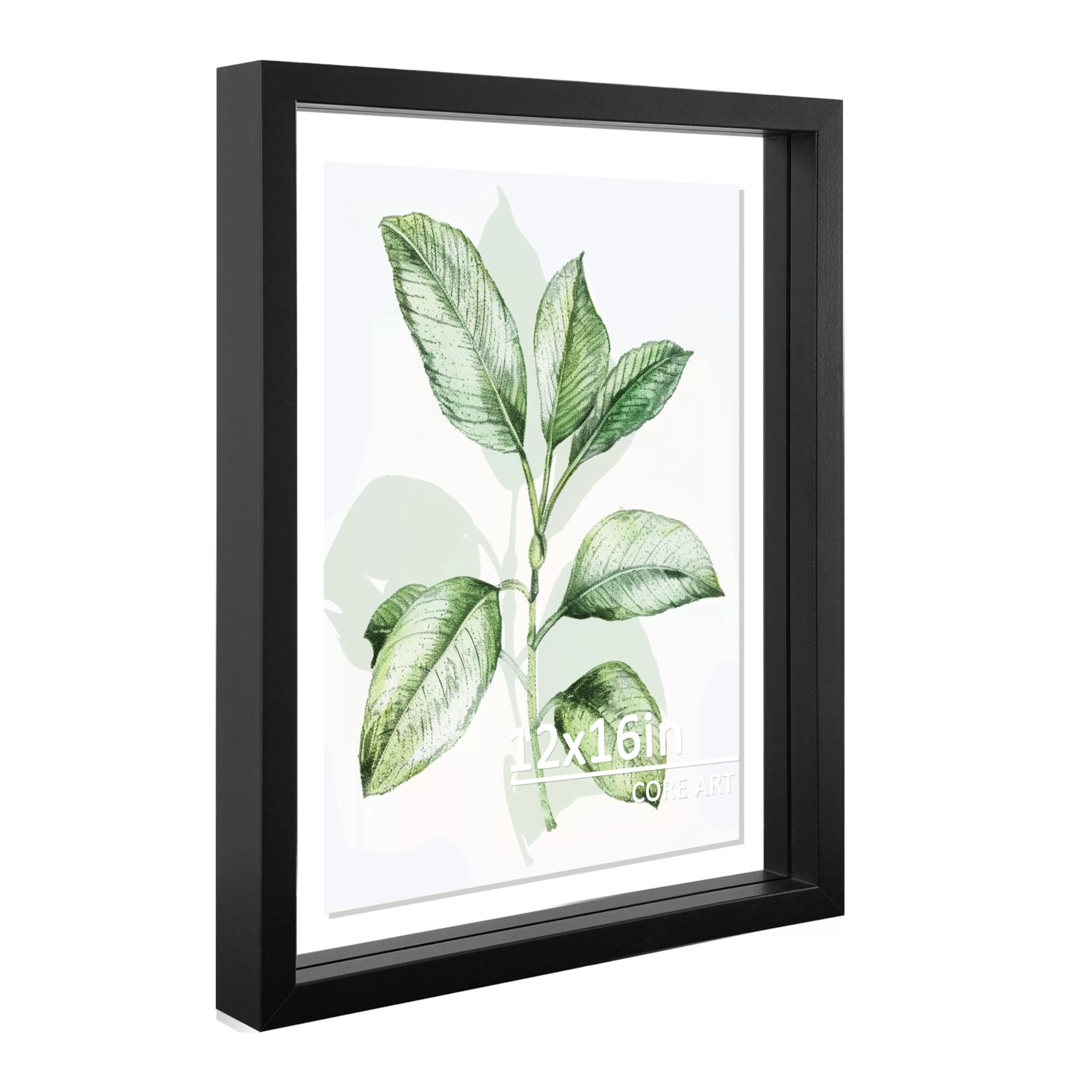 CORE ART 12x16 Floating Picture Frame,Double Plexglass Floating Frame for 8x12,11x14 Pictures,Wall or Tabletop Display,Black