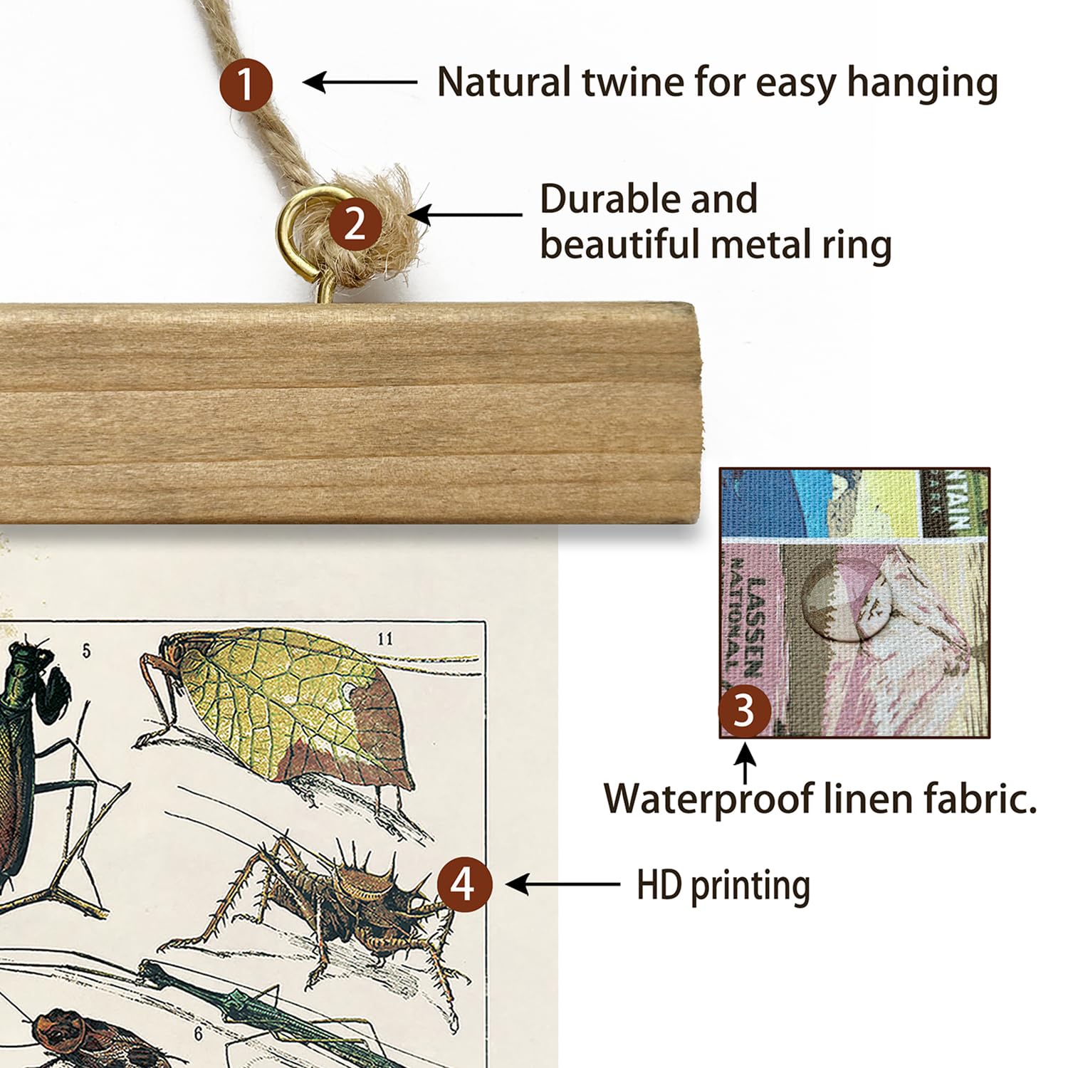 Xiaoaika Vintage Entomology Poster - Illustrated Insect Species Chart With Wooden Frame - Educational Bug Identification Wall Ar