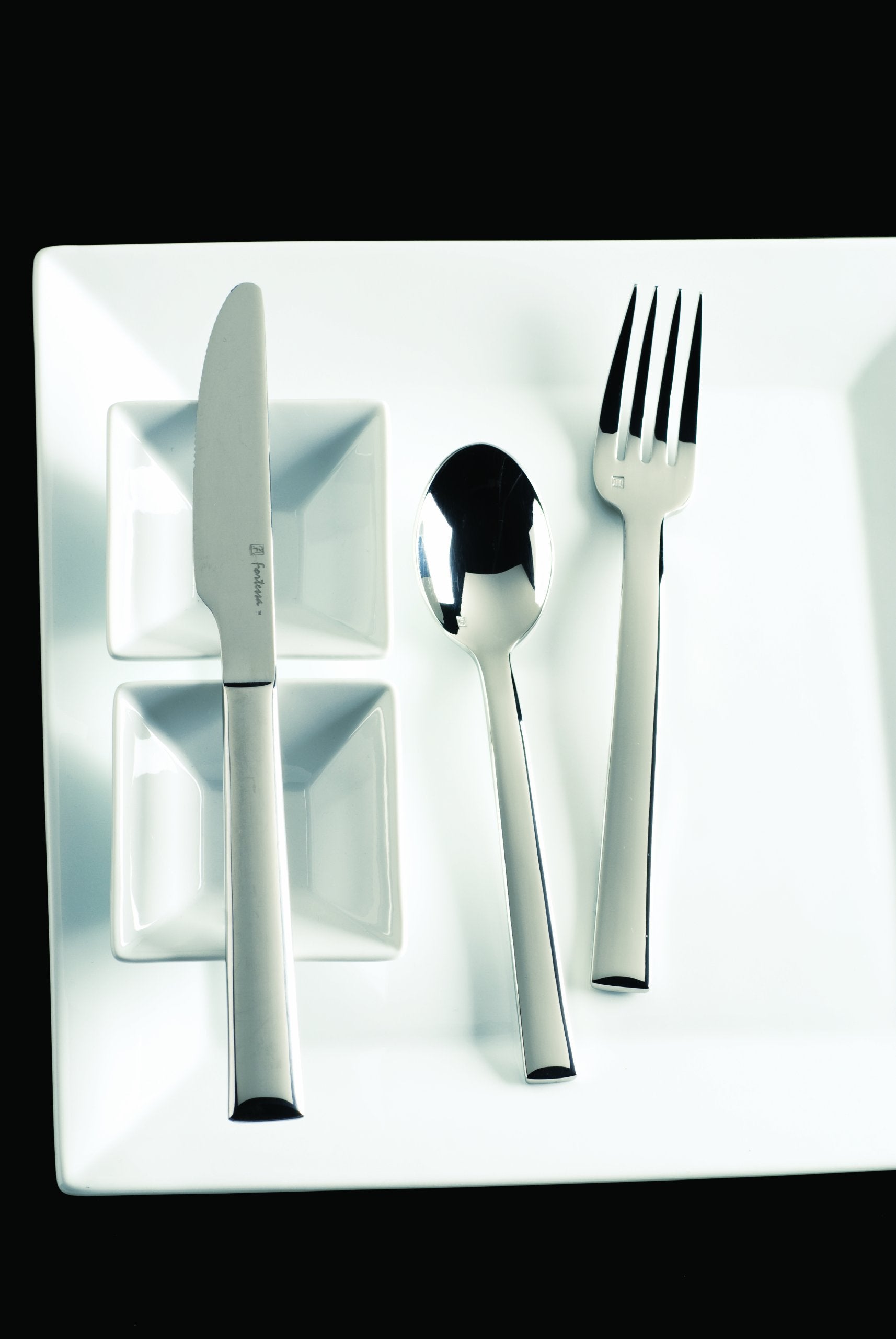 Fortessa Still 18/10 Stainless Steel Flatware, 5 Piece Place Setting, Service For 1,Silver