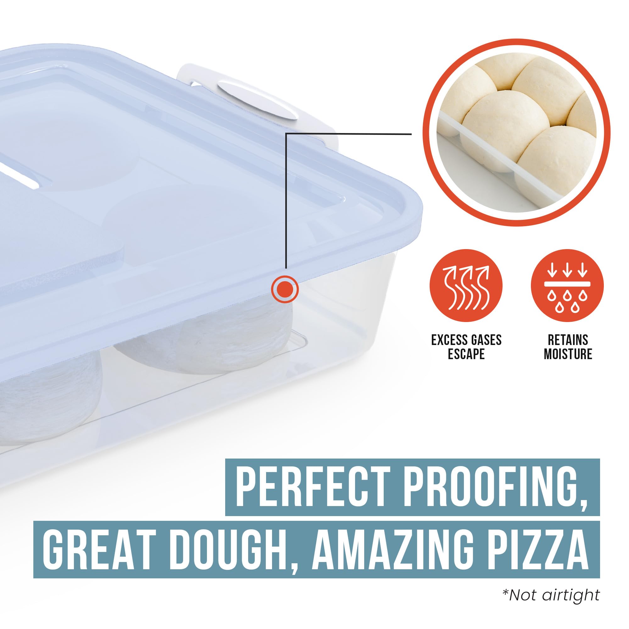 Chef Pomodoro Pizza Dough Proofing Box, 14 X 11-Inch, Pizza Dough Container, Fits 4-6 Dough Balls, Household Pizza Dough Tray Wi