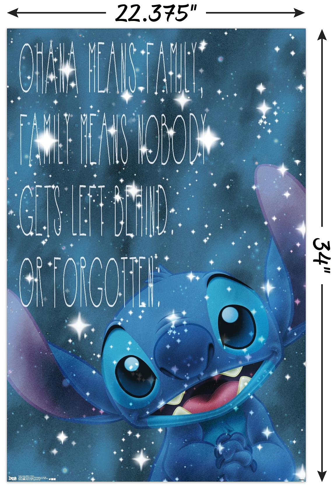 Trends International Disney Lilo And Stitch - Ohana Wall Poster, 22.375'' X 34'', Premium Poster & Mount Bundle