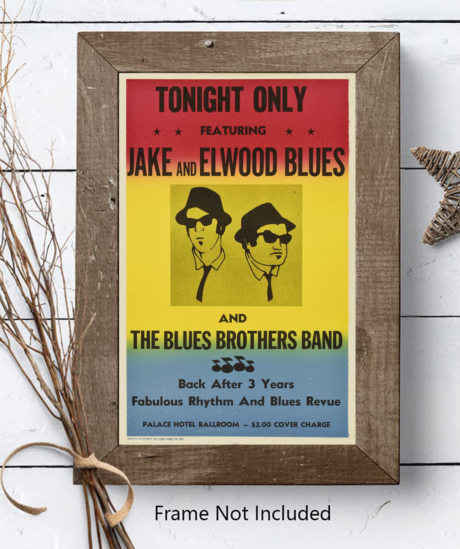 The Blues Brothers In Concert Poster Frameless Gift 12''X 18'' (30Cm X 46Cm)-Lt-046
