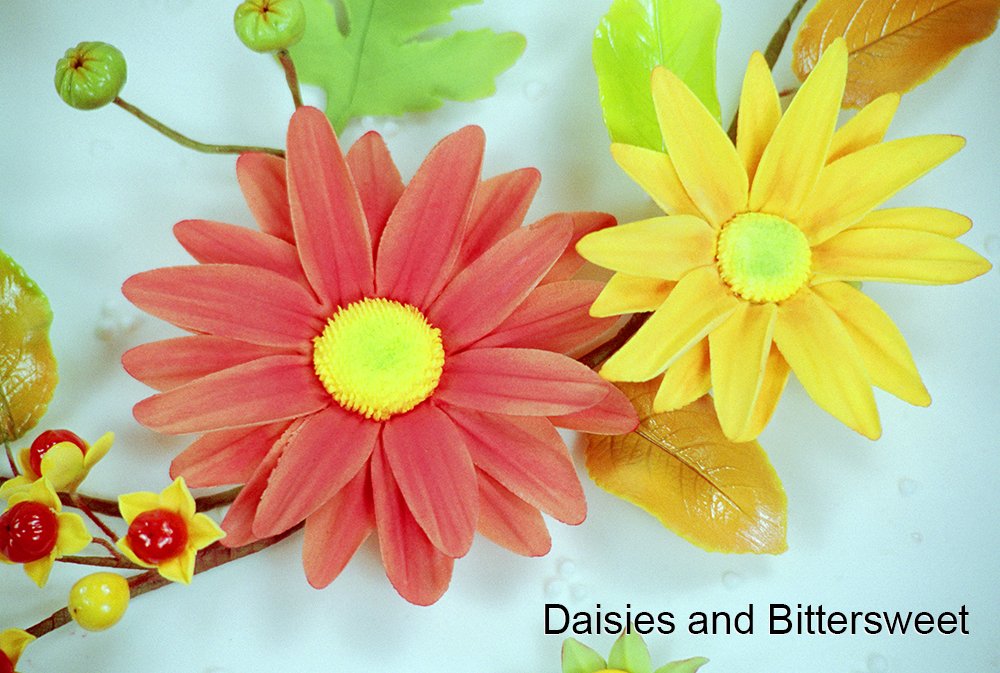 Daisy 8 Petal 4 Cutter Set By Wsa