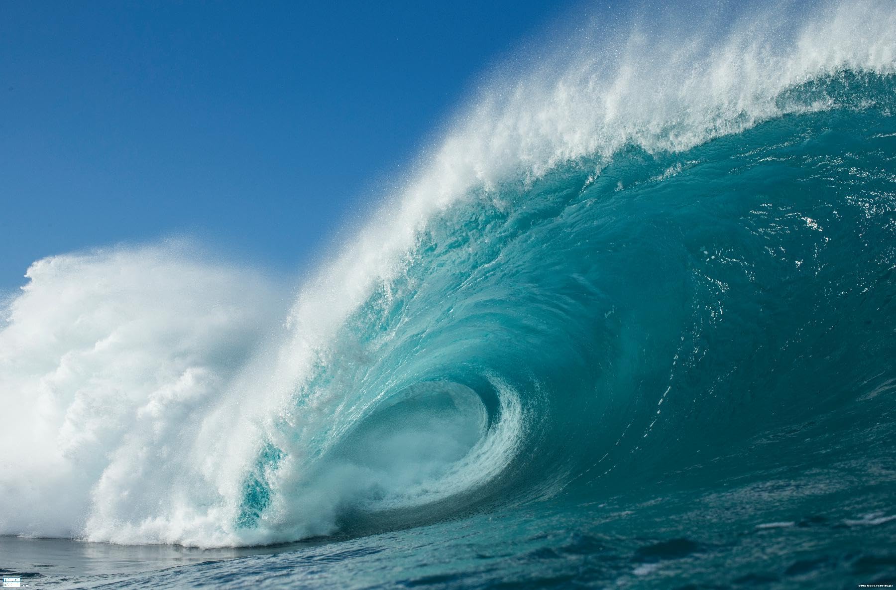 Trends International Surfing - Rolling Wave Wall Poster, 22.375'' X 34'', Premium Unframed Version