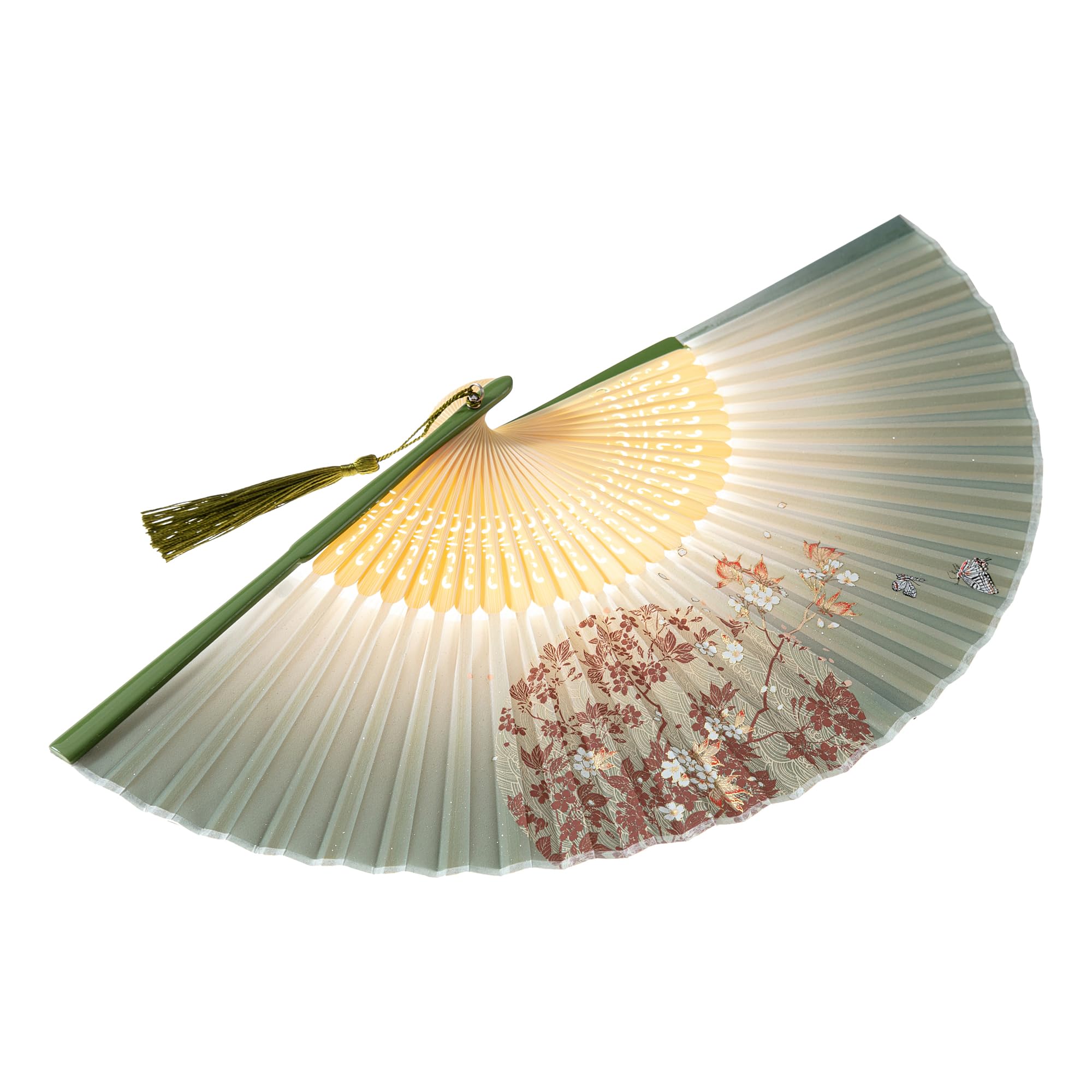 Salutto Hand Fan Bamboo Printed Pattern Folding Fan Lacquered Bamboo Fan For Party Wedding Gift With tassel and fan cover Globe