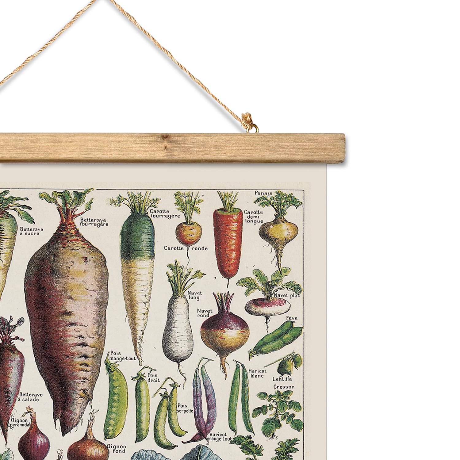 Xiaoaika Vintage Vegetable Varieties Poster - Illustrated Garden Produce Chart With Wooden Frame - Educational Kitchen Wall Deco