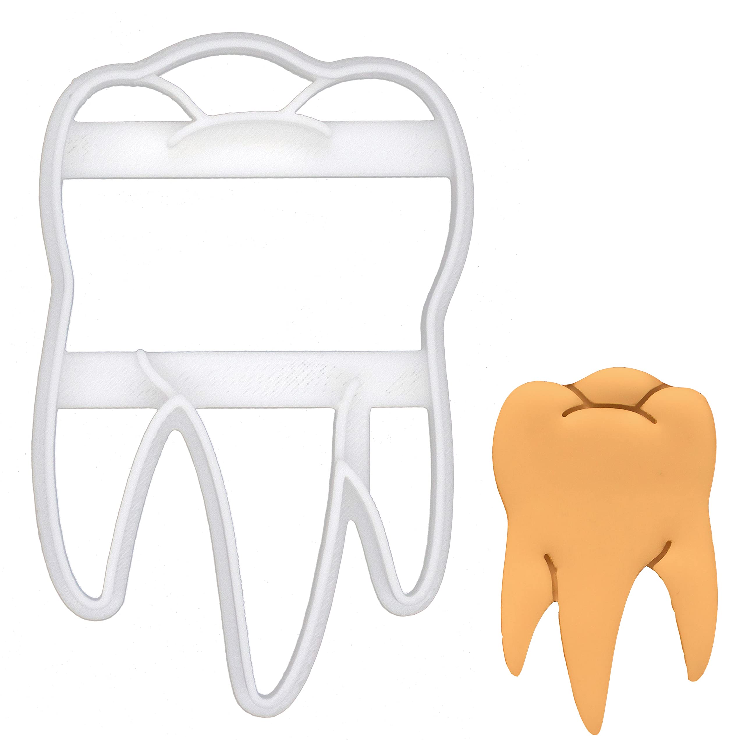 Realistic Molar Tooth Cookie Cutter, 1 Piece - Bakerlogy