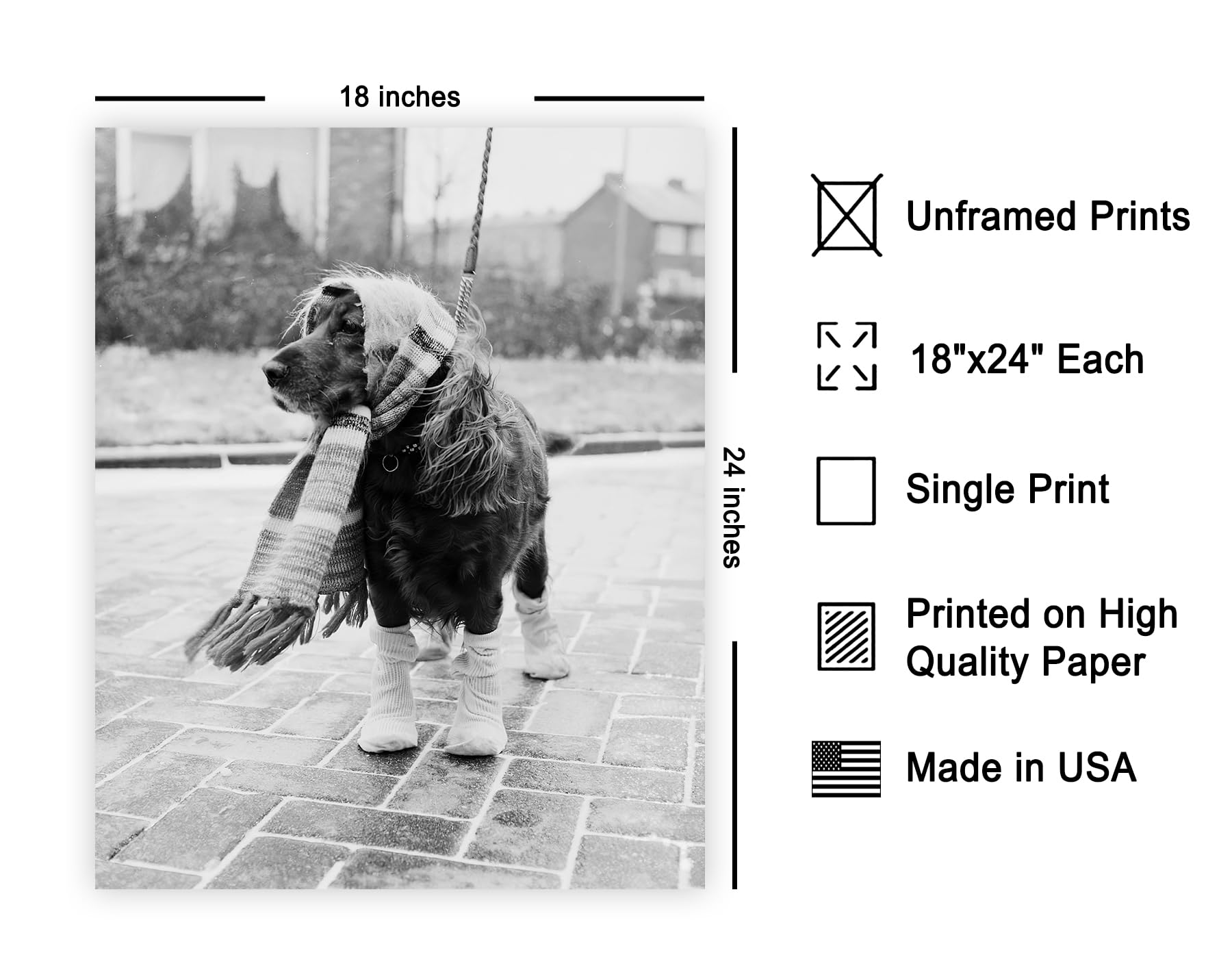 Poster Master Vintage Dog Dressed for Winter Print - Retro Dog Fashion Poster - Photography Art - Funny Gift for Men, Women, Ani