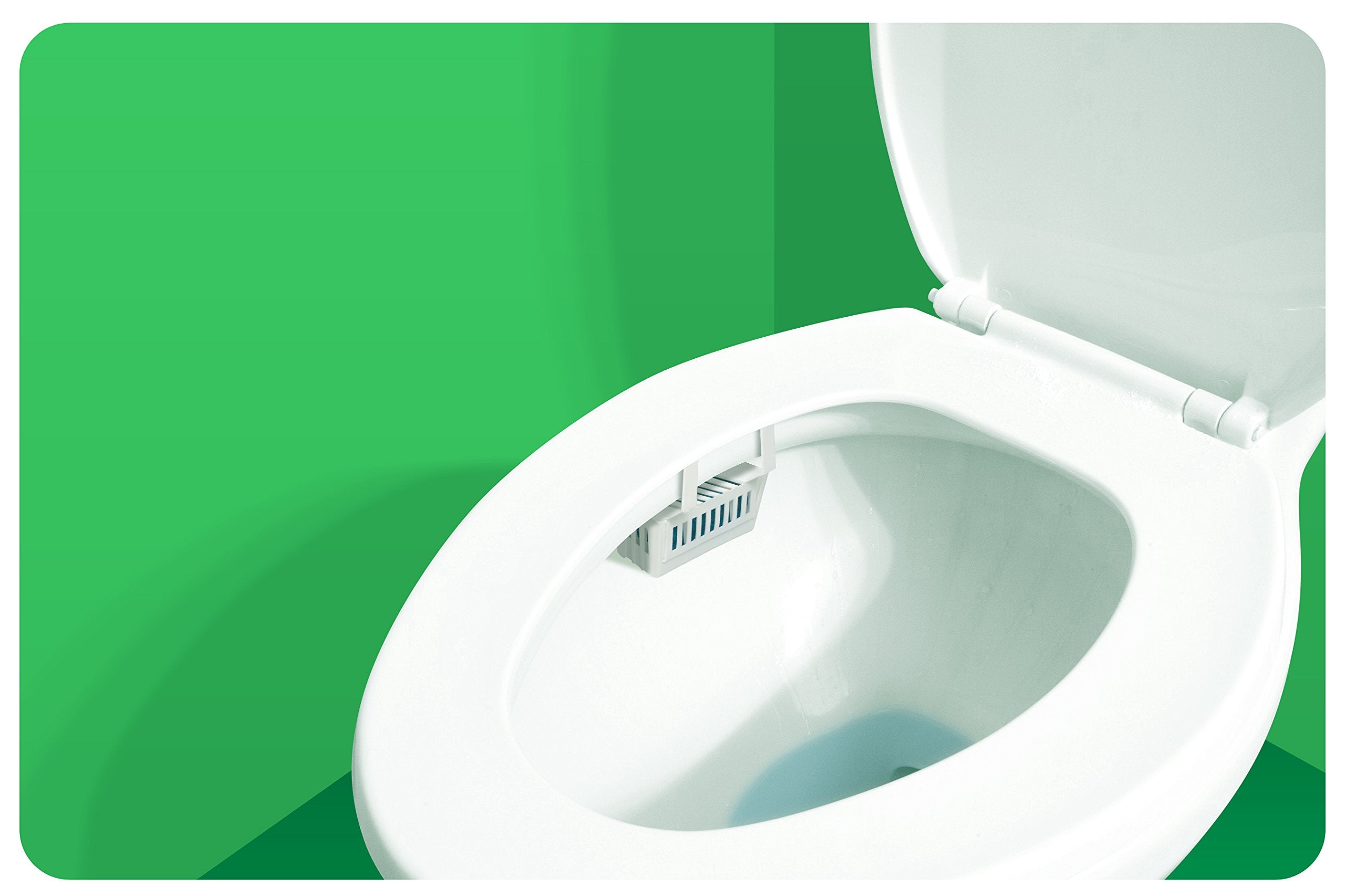 Bgd 661 Non-Para Toilet Bowl Block, Lasts 30 Days, White, Evergreen Fragrance, 12/Box