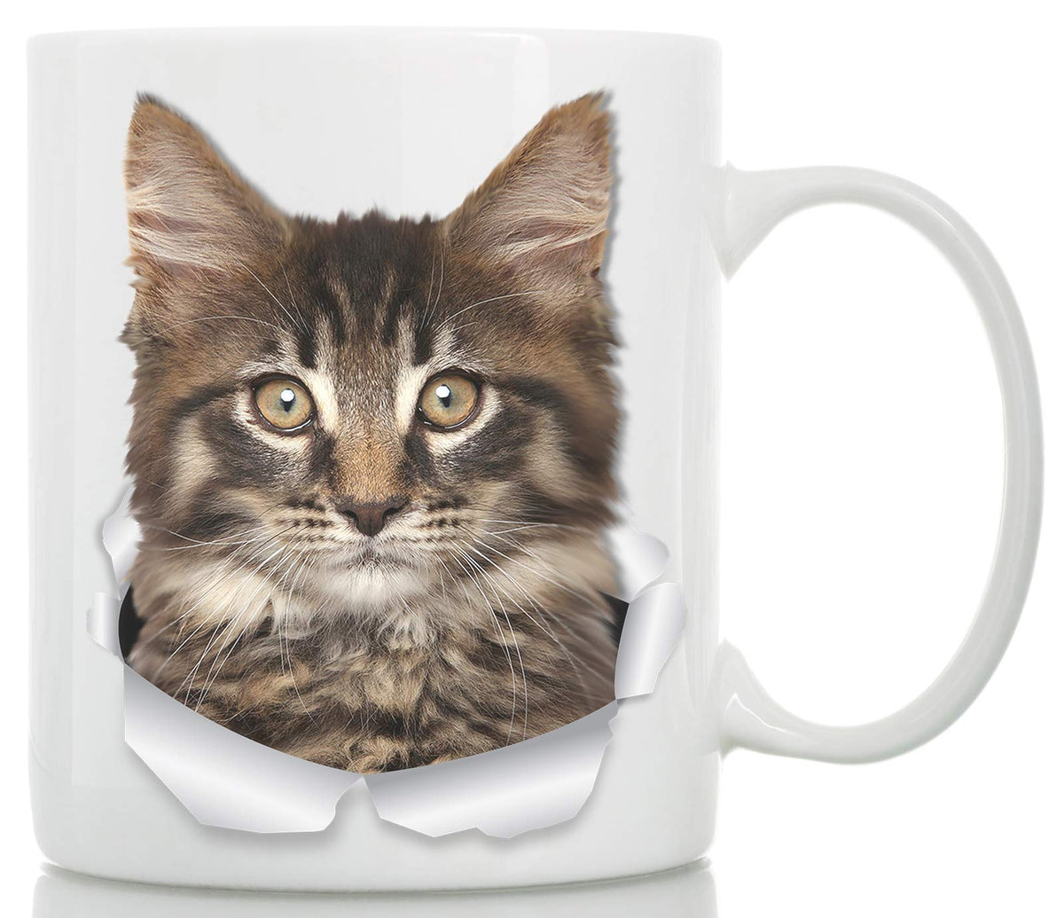 Maine Coon Cat Mug - Tabby Maine Coon Kitten Ceramic Coffee Mug - Perfect Tabby Maine Coon Cat Gifts - Funny Maine Coon Coffee M