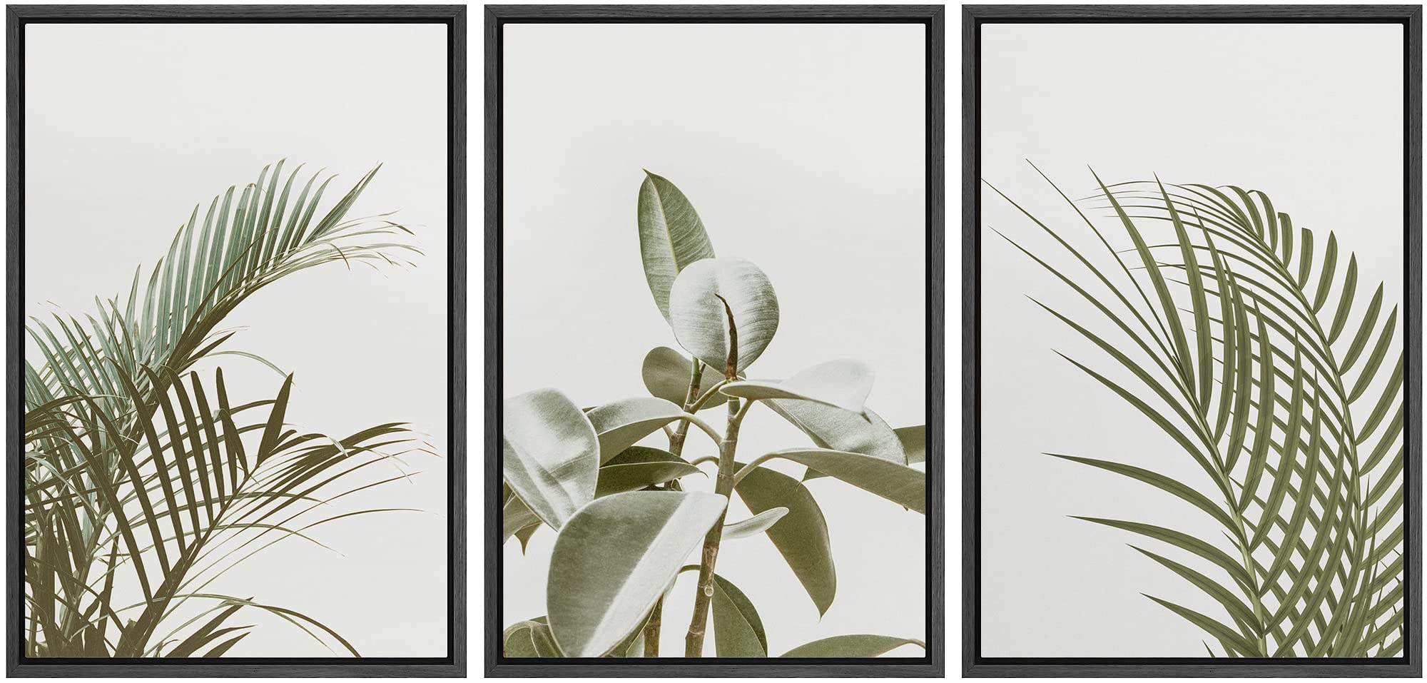 Signford Framed Canvas Print Wall Art Set Vintage Retro Tropical Jungle Plant Close-Ups Nature Wilderness Photography Minimal Sc