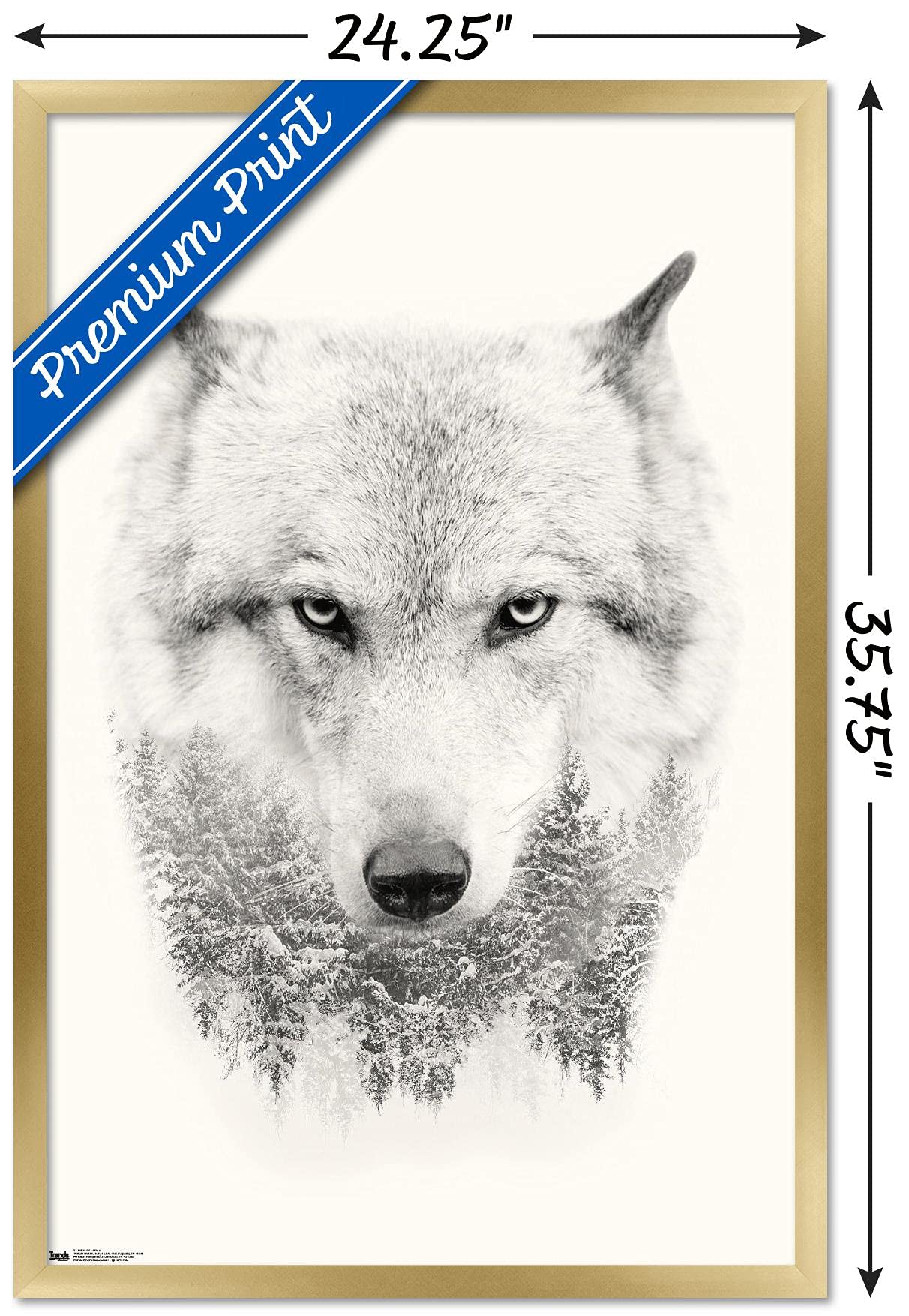 Trends International Wolf - Trees Wall Poster, 22.375'' X 34'', Gold Framed Version