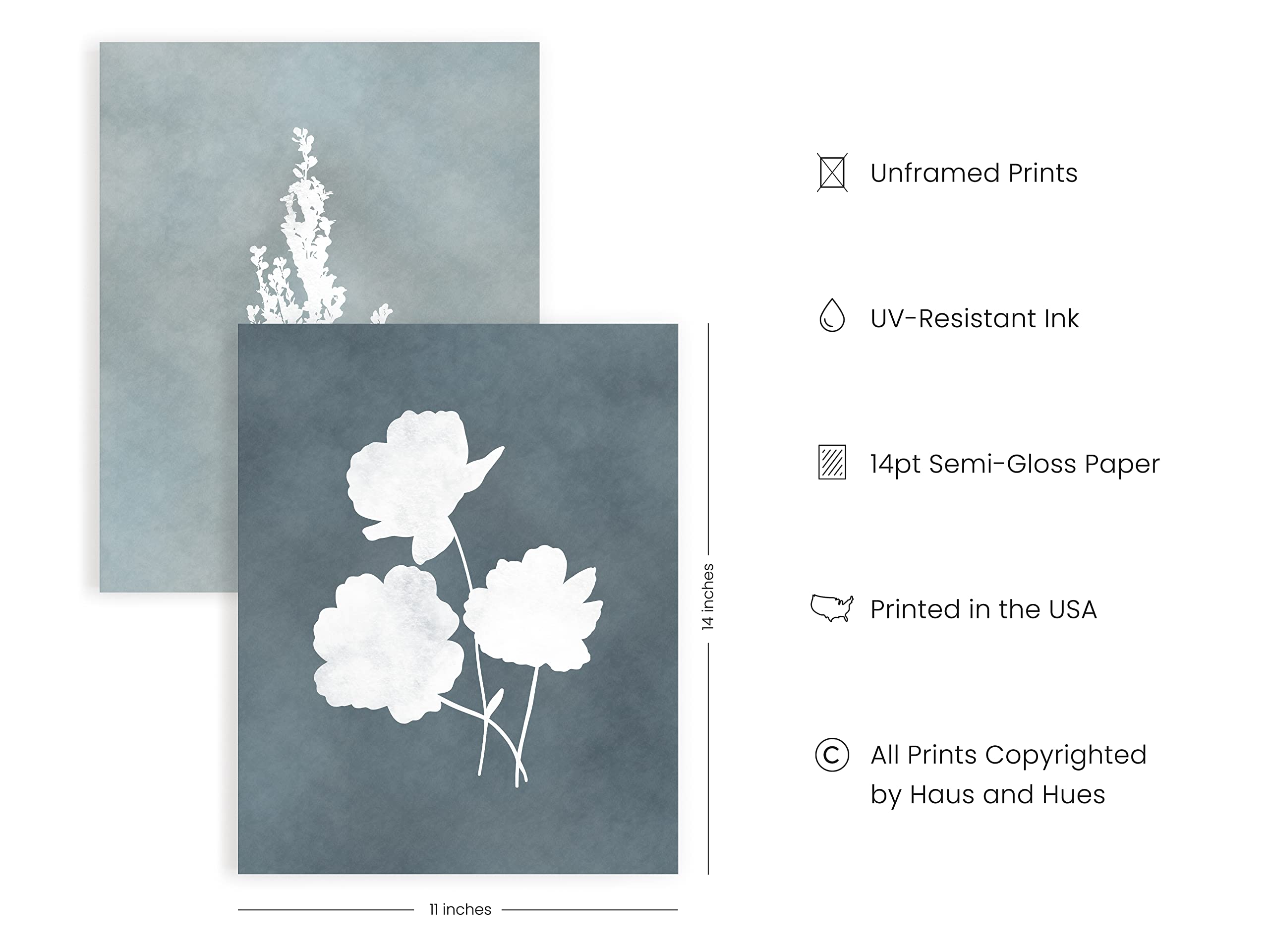 HAUS AND HUES Floral Wall Art - Set of 4 Plant Posters for Wall Vintage  Botanical Prints  Flower Pictures for Room Aesthetic  Vintage Art Prints  Flower Wall Art (11x14  Unframed)