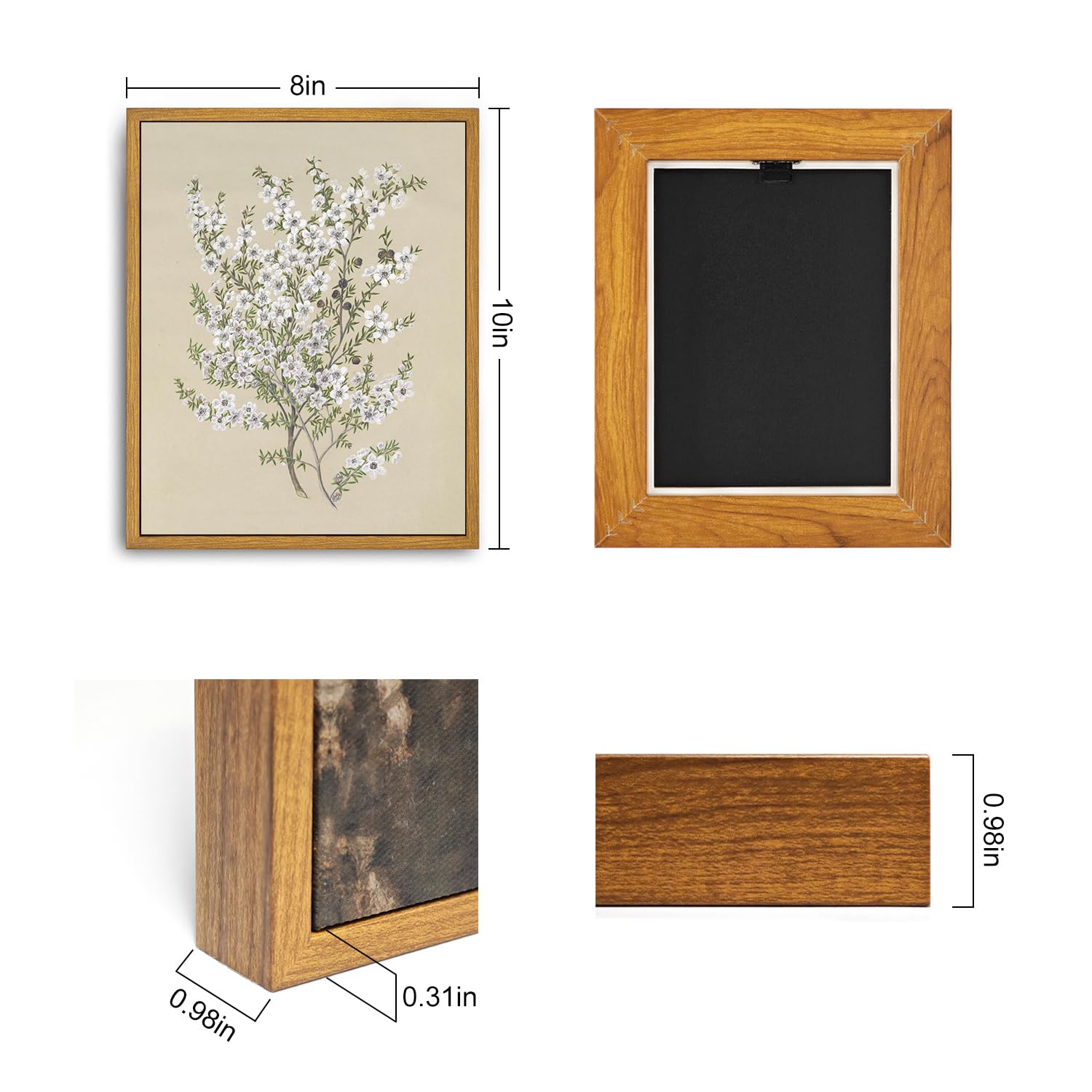 Roslynity Framed Canvas Wall Art Vintage Print Paintings Flower Drawing Plant Manuka Neutral Floral Nature Retro Aesthetic Artwo