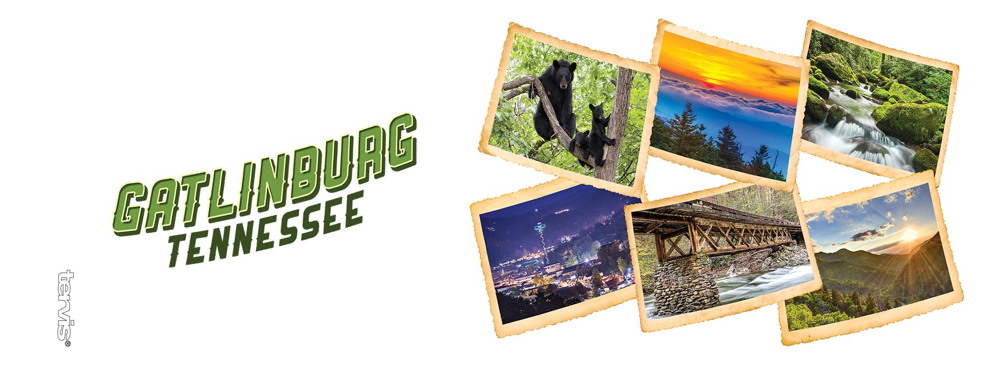 Tervis Tennessee - Gatlinburg Collage Tumbler With Wrap And Hunter Green Lid 16Oz Mug, Clear