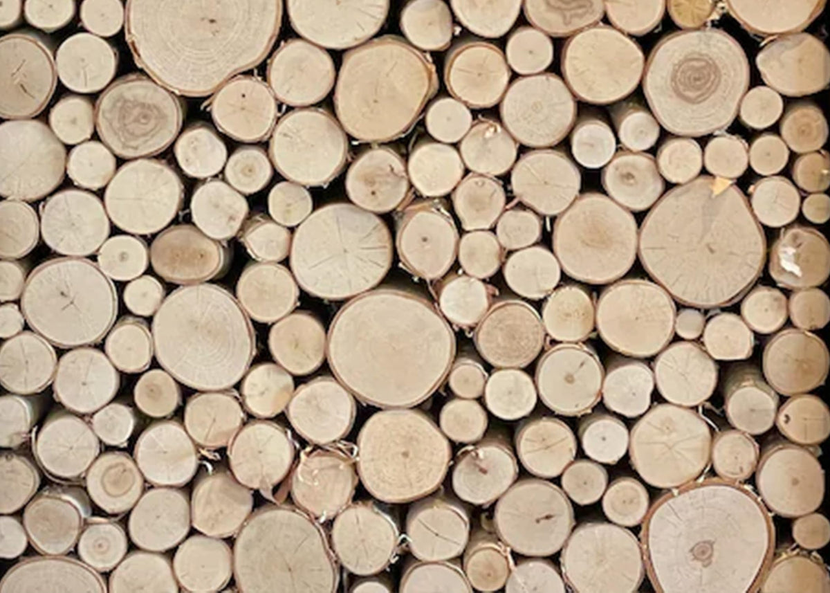 Wilson 7''-9'' Decorative White Birch Fill-A-Space Logs, Natural Home D  Cor - 1.5''-4'' Dia. (1 Sq. Ft)