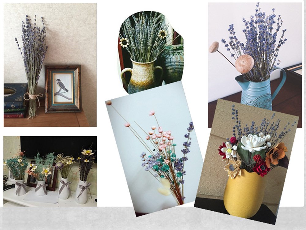 TooGet Natural Lavender Bundles  Freshly Harvested 200+ Stems Dried Lavender Bunch 16'' - 18'' Long  Decorative Flowers Bouquet for Home Decor  Crafts  Gift  Wedding or Any Occasion